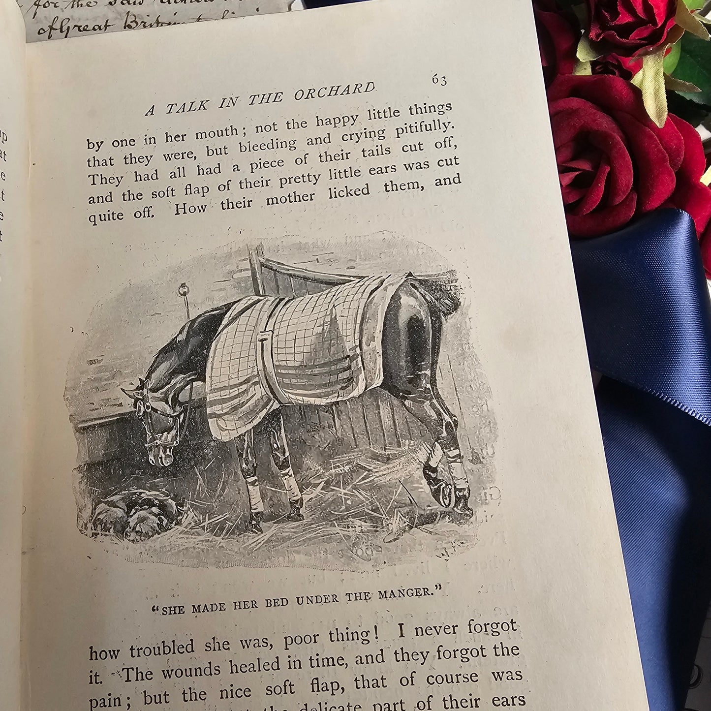 1890s Black Beauty by Anna Sewell / Jarrold & Sons, London / Lovely Decorative Boards / Illustrated Antique Book / In Very Good Condition