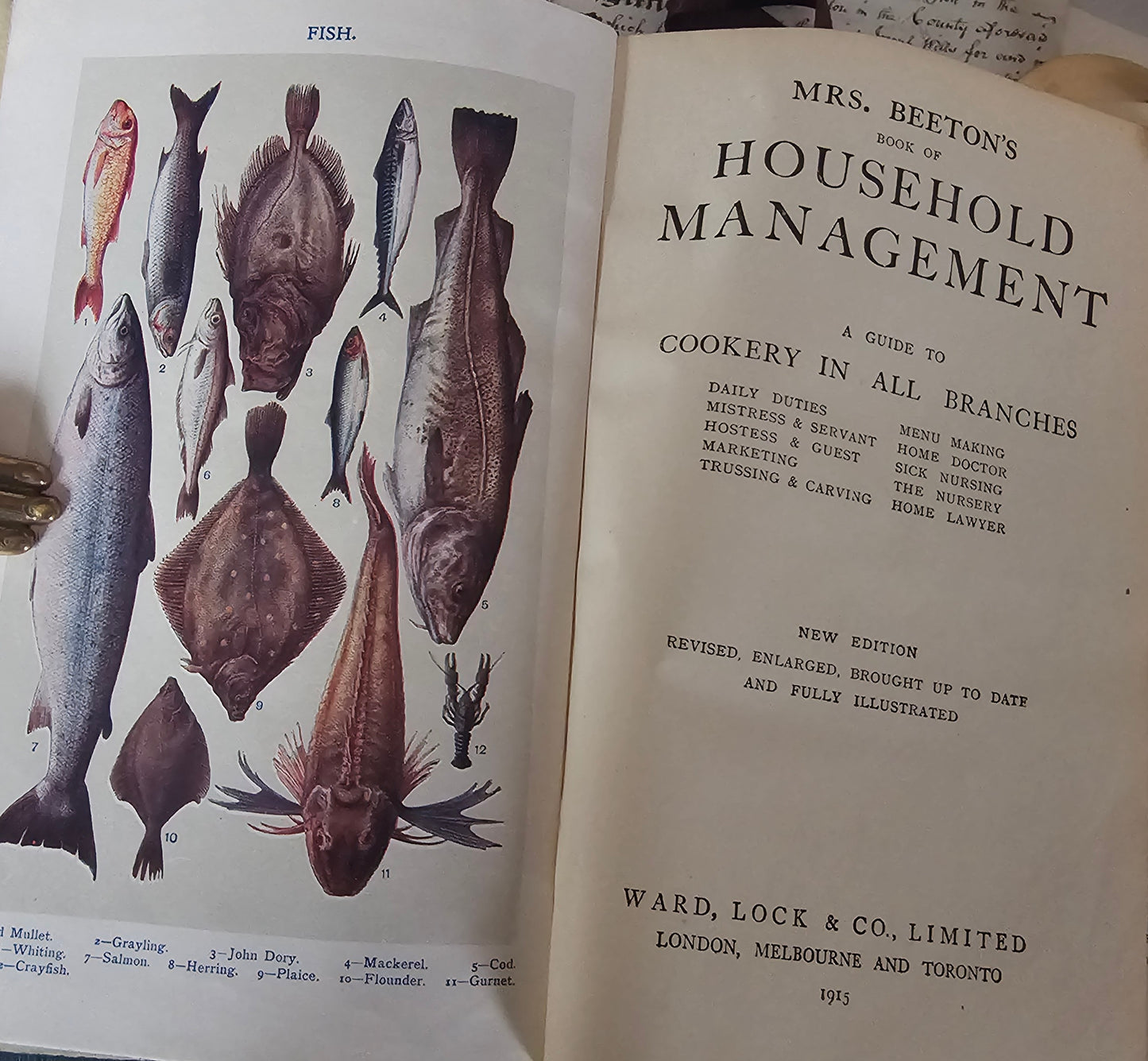 1915 Mrs Beeton's Book of Household Management A Guide To Cookery In All Branches / 32 Superb Colour Plates and Nearly 700 Illustrations