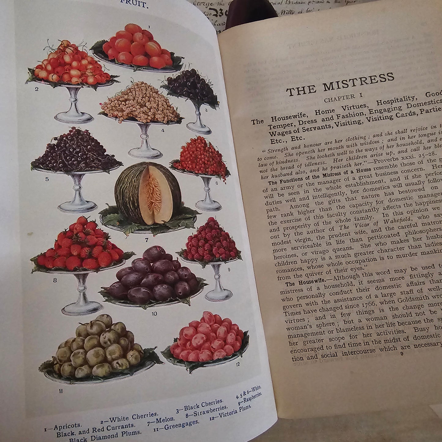 1915 Mrs Beeton's Book of Household Management A Guide To Cookery In All Branches / 32 Superb Colour Plates and Nearly 700 Illustrations