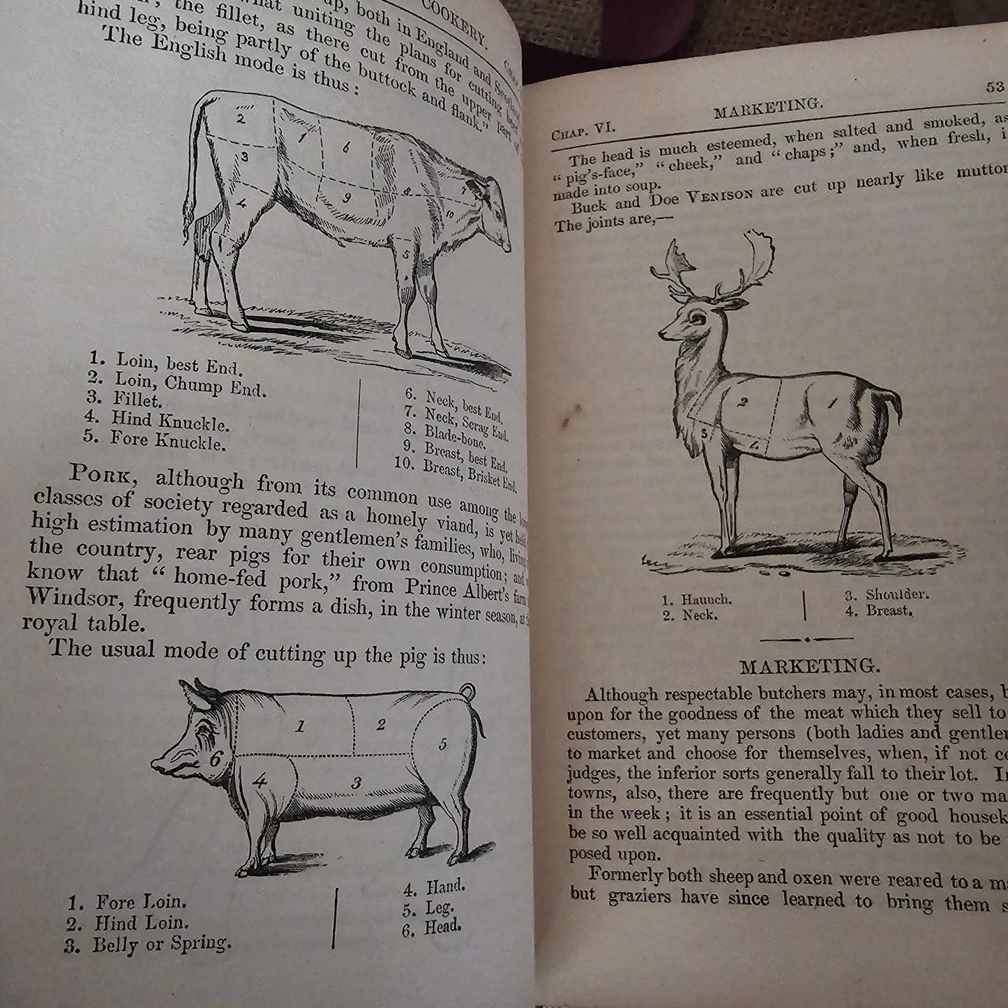 1857 Modern Domestic Cookery by A Lady / John Murray, London / Early Cookery Book / 168 Years Old / Illustrated / Good Antique Condition