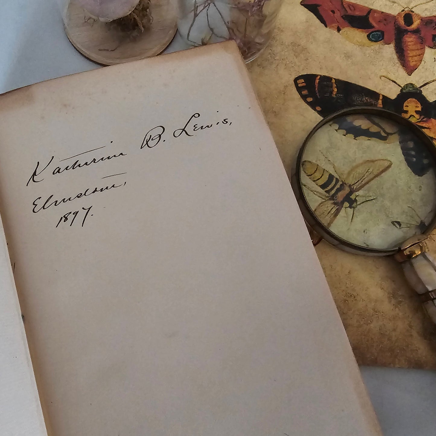 1896 Charles Darwin: Journal of Researches Into Natural History & Geology of Countries Visited During Voyage Round World of HMS Beagle