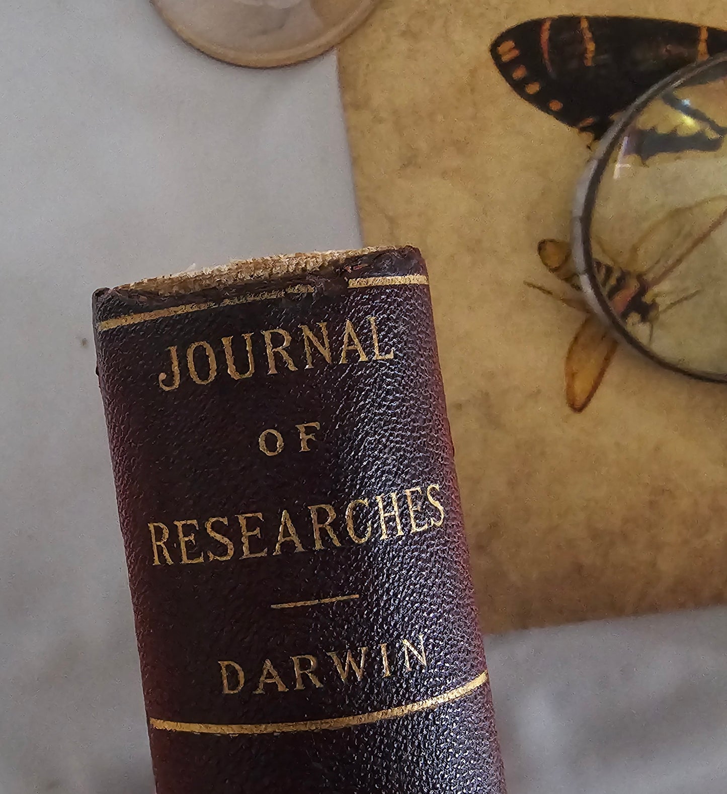 1896 Charles Darwin: Journal of Researches Into Natural History & Geology of Countries Visited During Voyage Round World of HMS Beagle