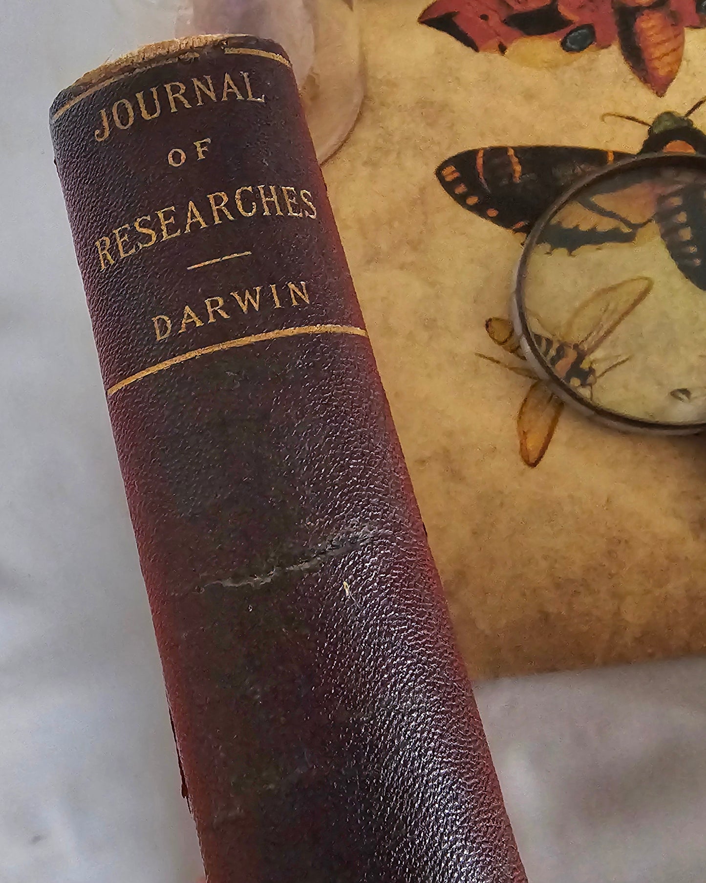 1896 Charles Darwin: Journal of Researches Into Natural History & Geology of Countries Visited During Voyage Round World of HMS Beagle