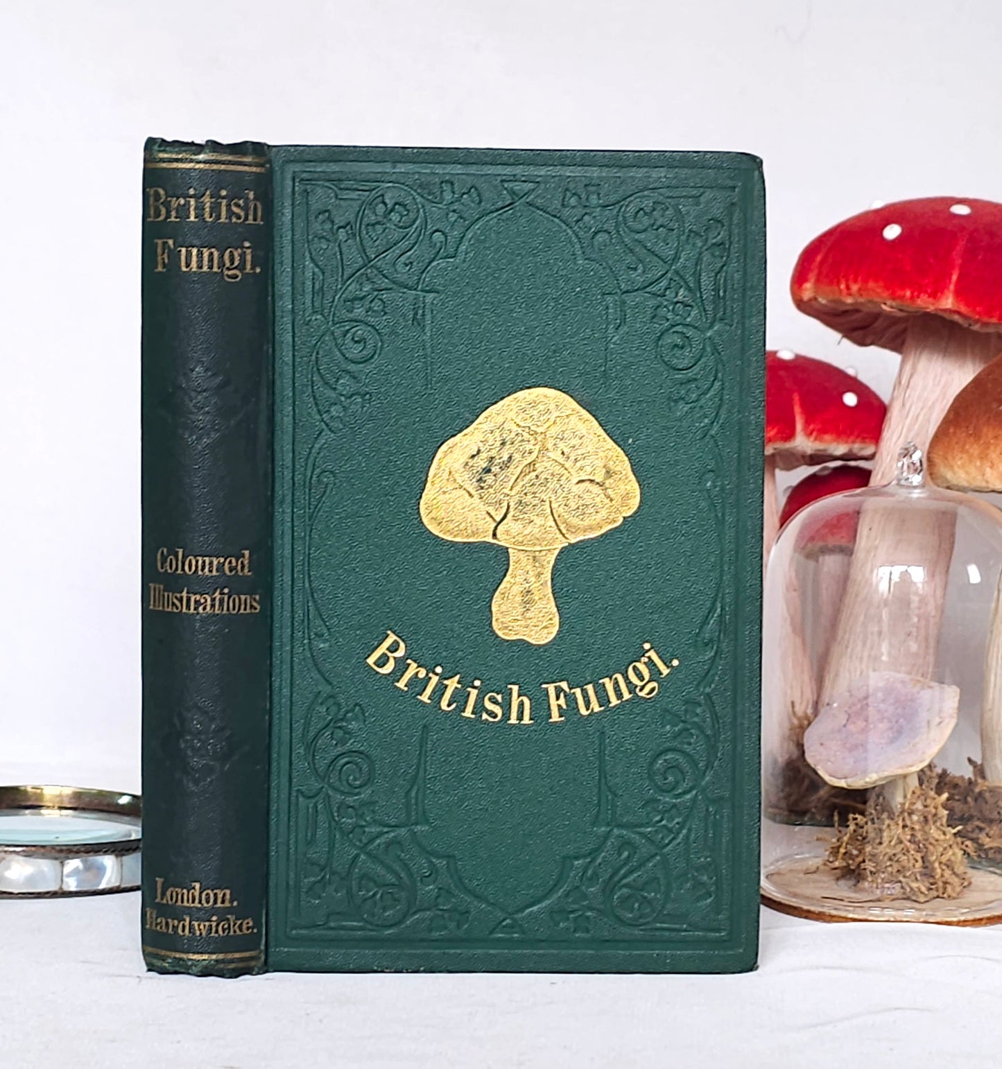 1866 British Fungi - A Plain and Easy Account by MC Cooke / Robert Hardwicke, London / In Excellent Condition / With 23 Superb Colour Plates