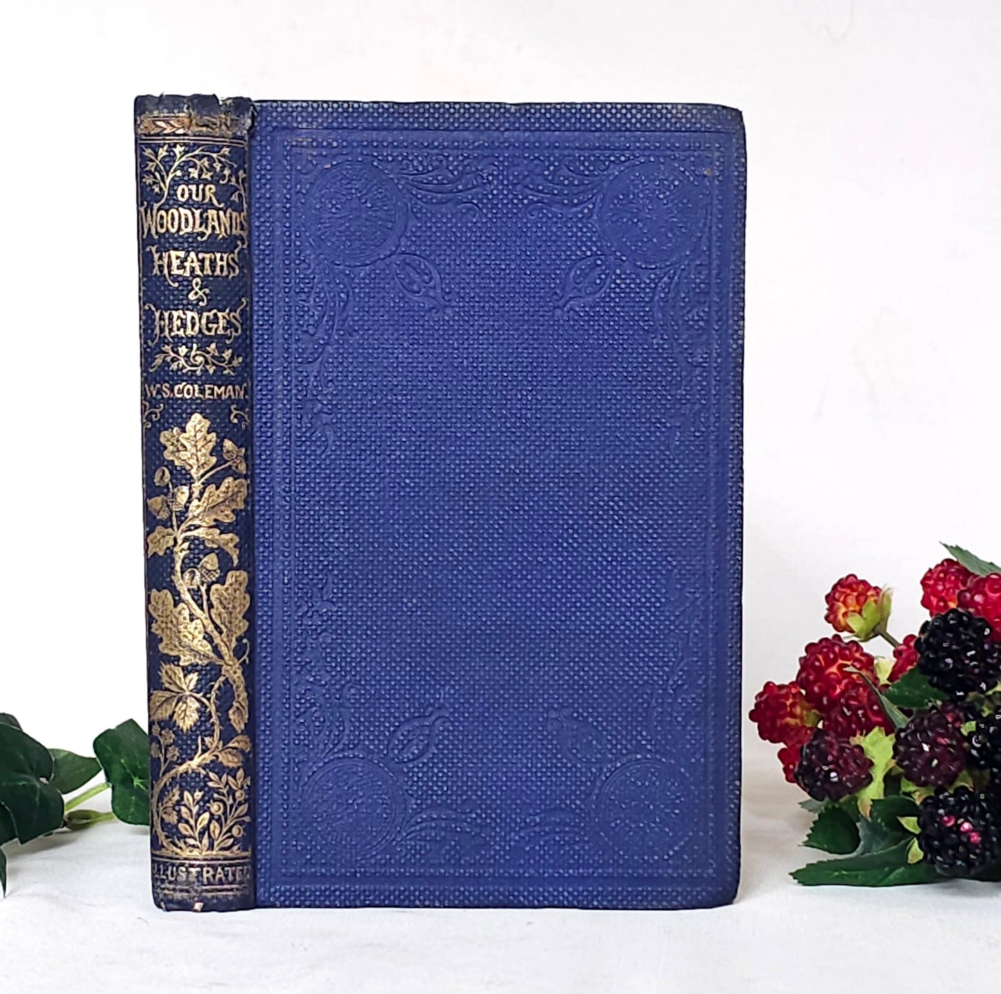 1859 Our Woodlands, Heaths and Hedges by WS Coleman / Routledge, Warner & Routledge, London / With Eight Superb Colour Plates / Antique