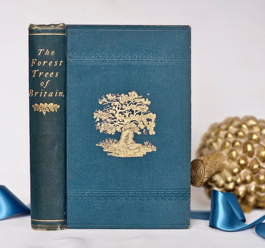 1890s The Forest Trees of Britain by Rev Johns / SPCK, London / Richly Illustrated Antique Hardback / Covers 56 Different Trees