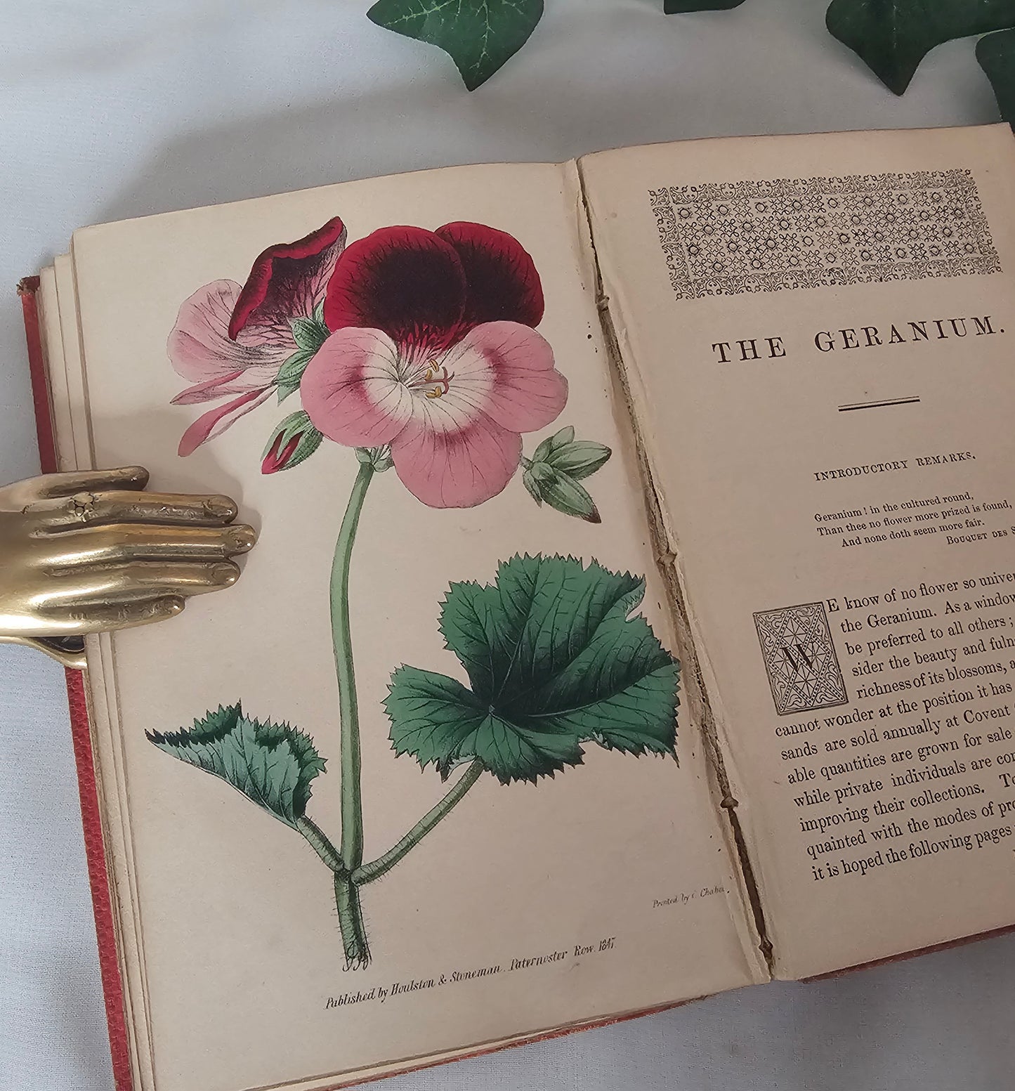 1860 Choice Garden Flowers - Their Cultivation and General Treatment in All Seasons / With Ten Beautiful Colourful Illustrations / Antique