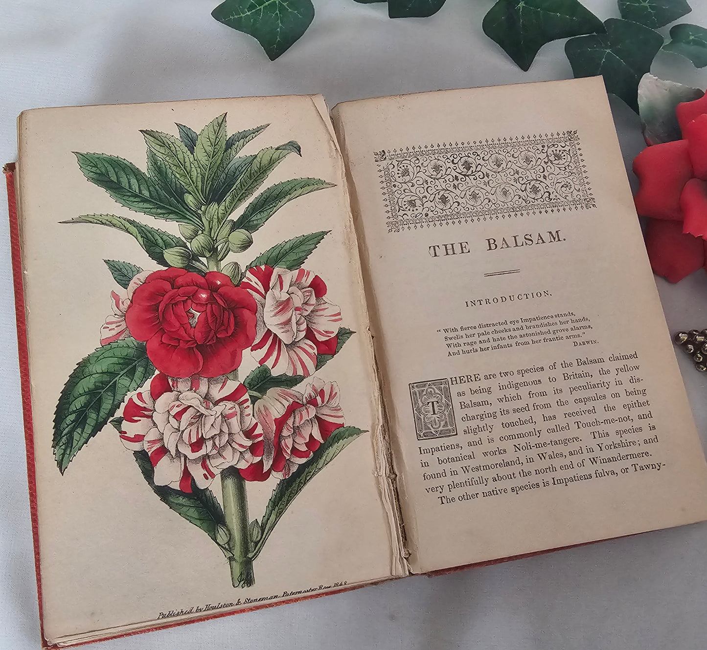 1860 Choice Garden Flowers - Their Cultivation and General Treatment in All Seasons / With Ten Beautiful Colourful Illustrations / Antique