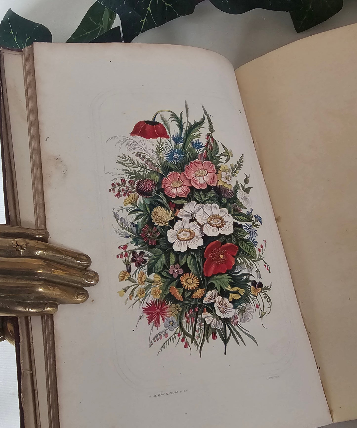 1865 The Christian Garland - A Companion For Leisure Hours / 8 Wonderful Kronheim Colour Plates Featuring Botanical Floral and Nature Scenes