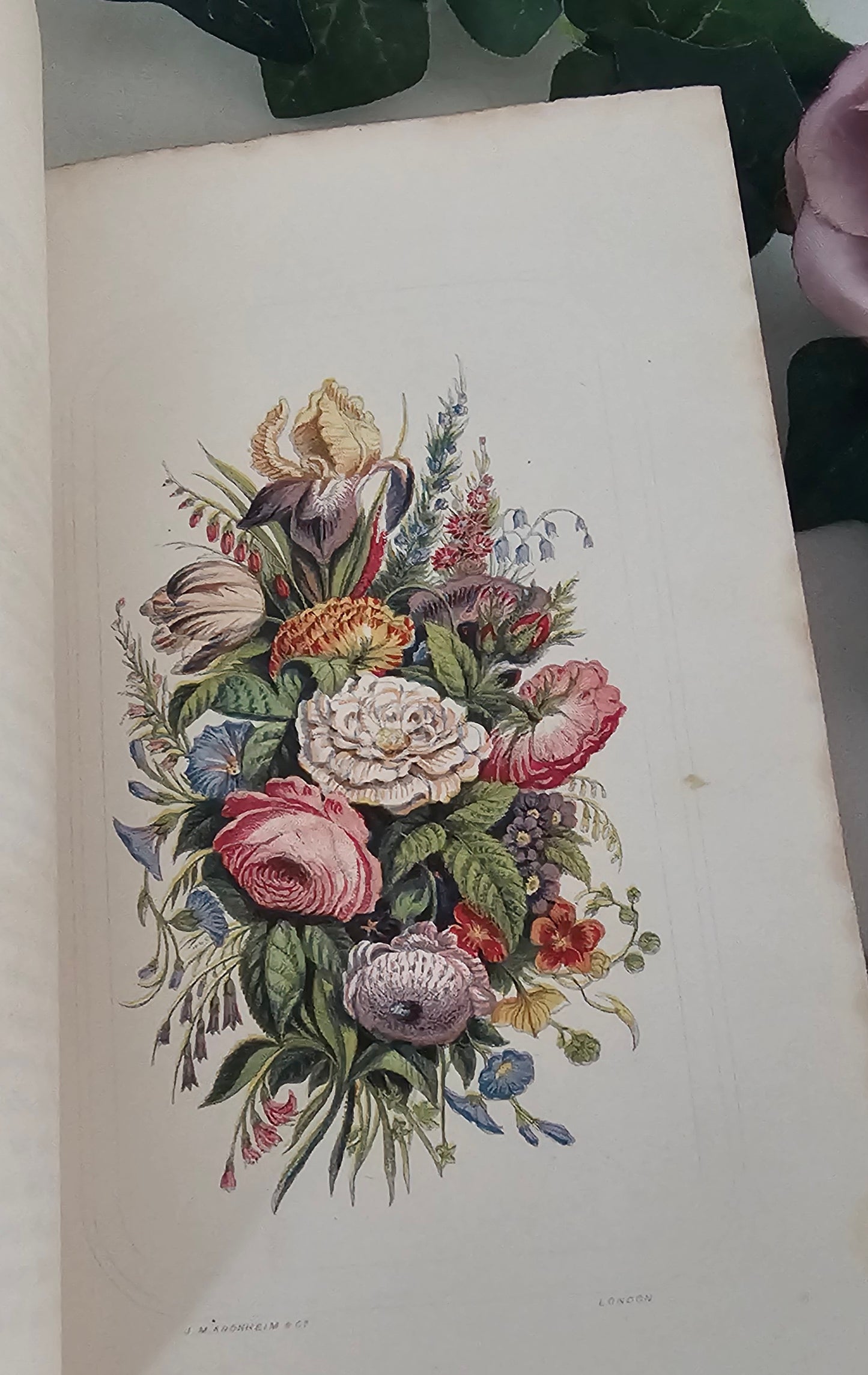 1865 The Christian Garland - A Companion For Leisure Hours / 8 Wonderful Kronheim Colour Plates Featuring Botanical Floral and Nature Scenes