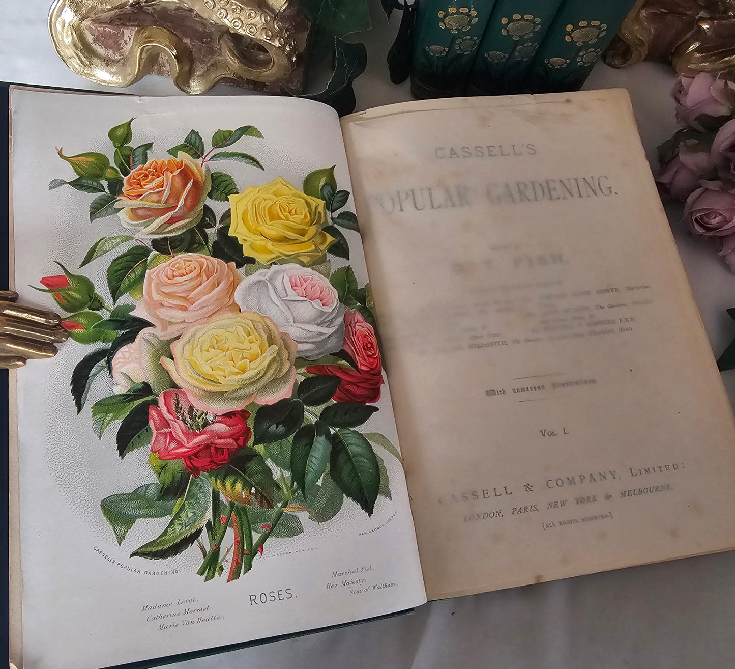 1890 Cassell's Popular Gardening / Antique Book Set in 4 Volumes / Very Good Condition / Richly Illustrated Throughout Plus Four in Colour