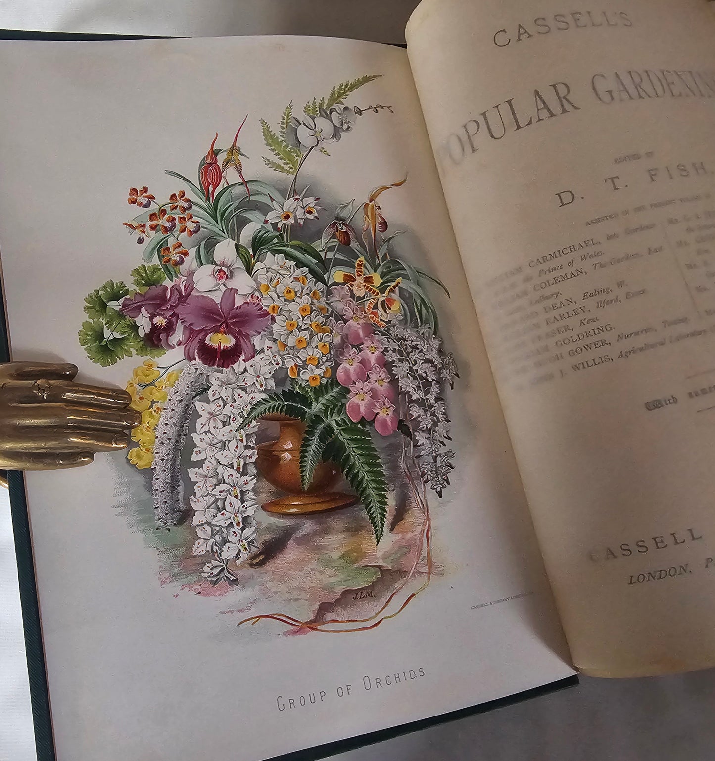 1890 Cassell's Popular Gardening / Antique Book Set in 4 Volumes / Very Good Condition / Richly Illustrated Throughout Plus Four in Colour