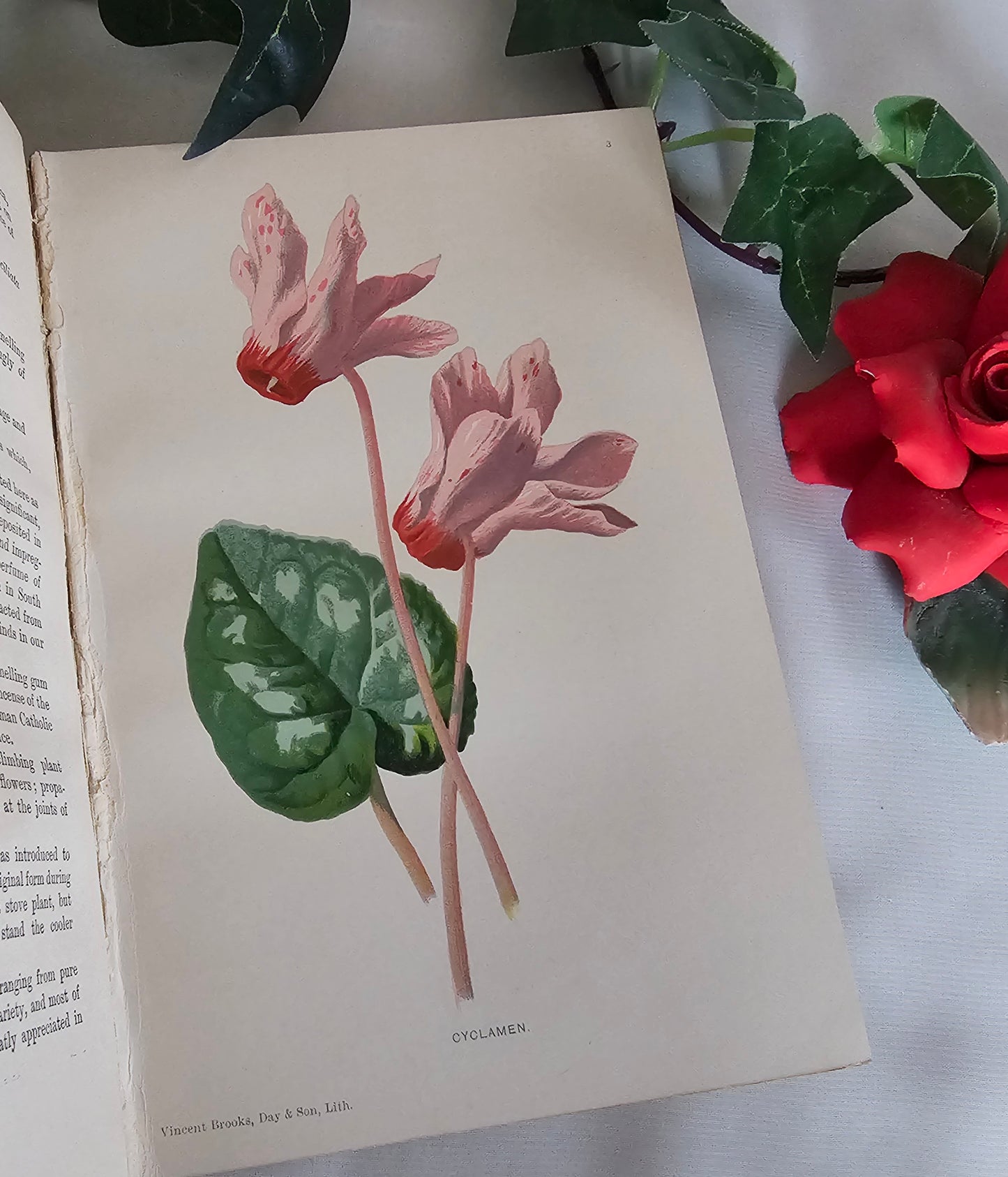 1895 Sweet-Scented Flowers and Fragrant Leaves by Donald McDonald / 16 Super Colour Plates / Antique Wildflowers Book in Excellent Condition