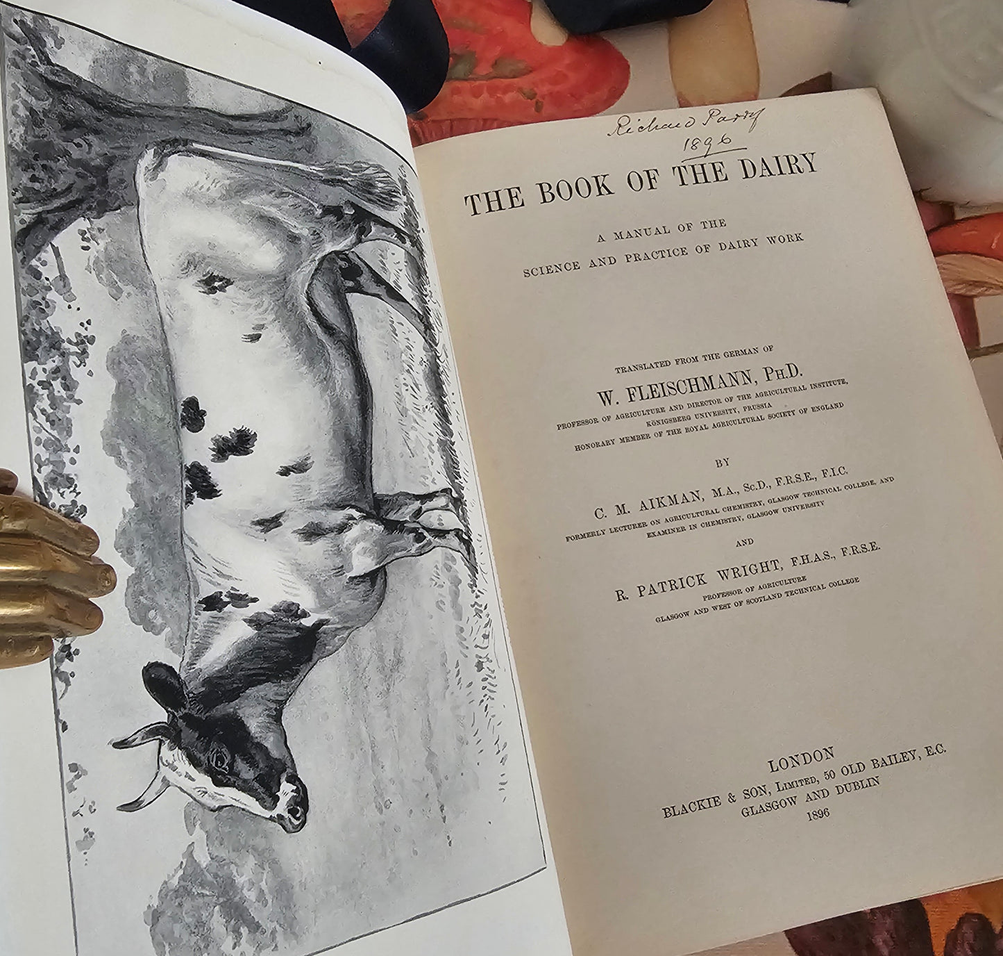 1896 The Book of the Dairy by W Fleischmann / Blackie & Son, London / Comprehensive Victorian Book / Richly Illustrated / In Good Condition