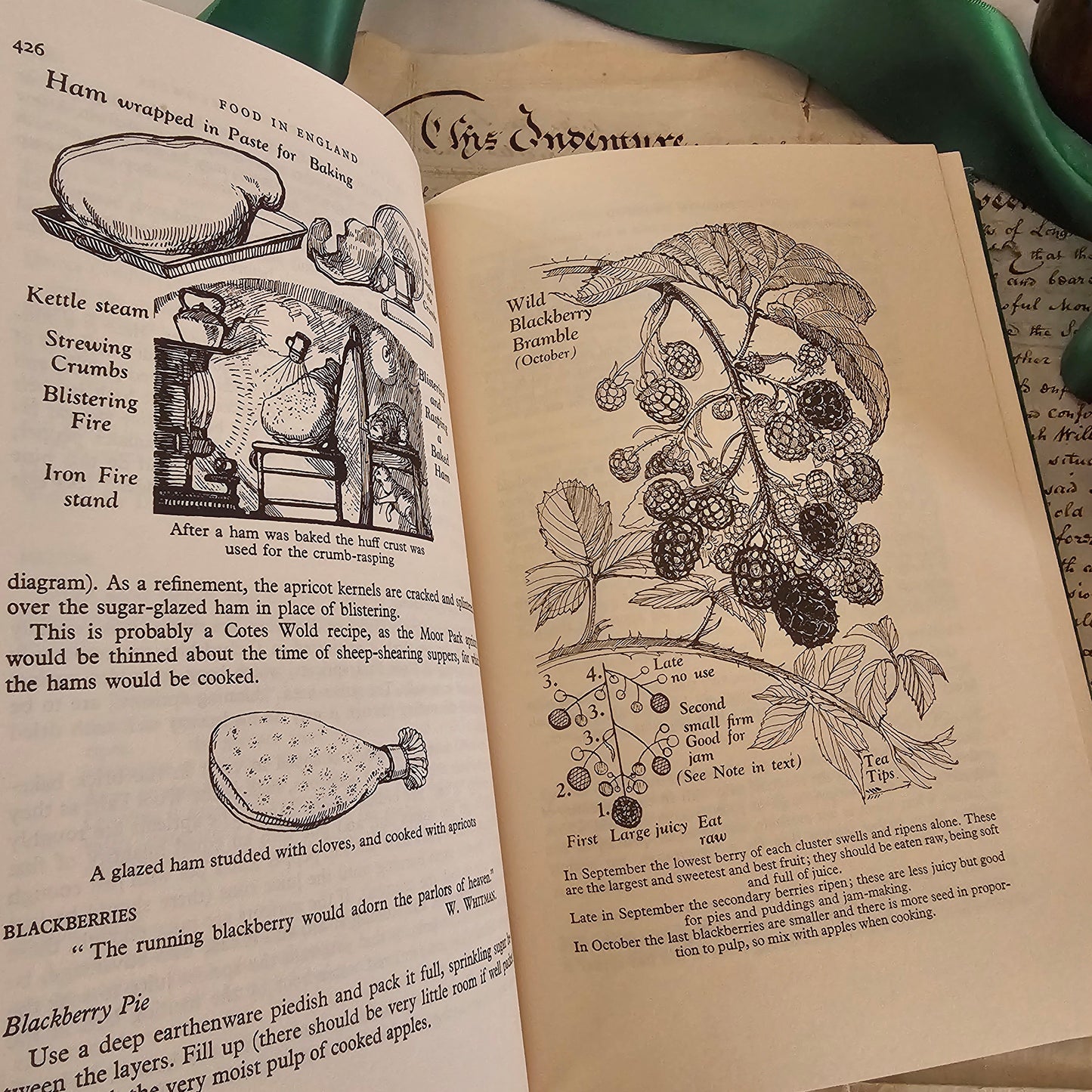 1979 Food in England by Dorothy Hartley / Macdonald, London / Culinary Classic in Very Good Condition / Richly Illustrated Throughout