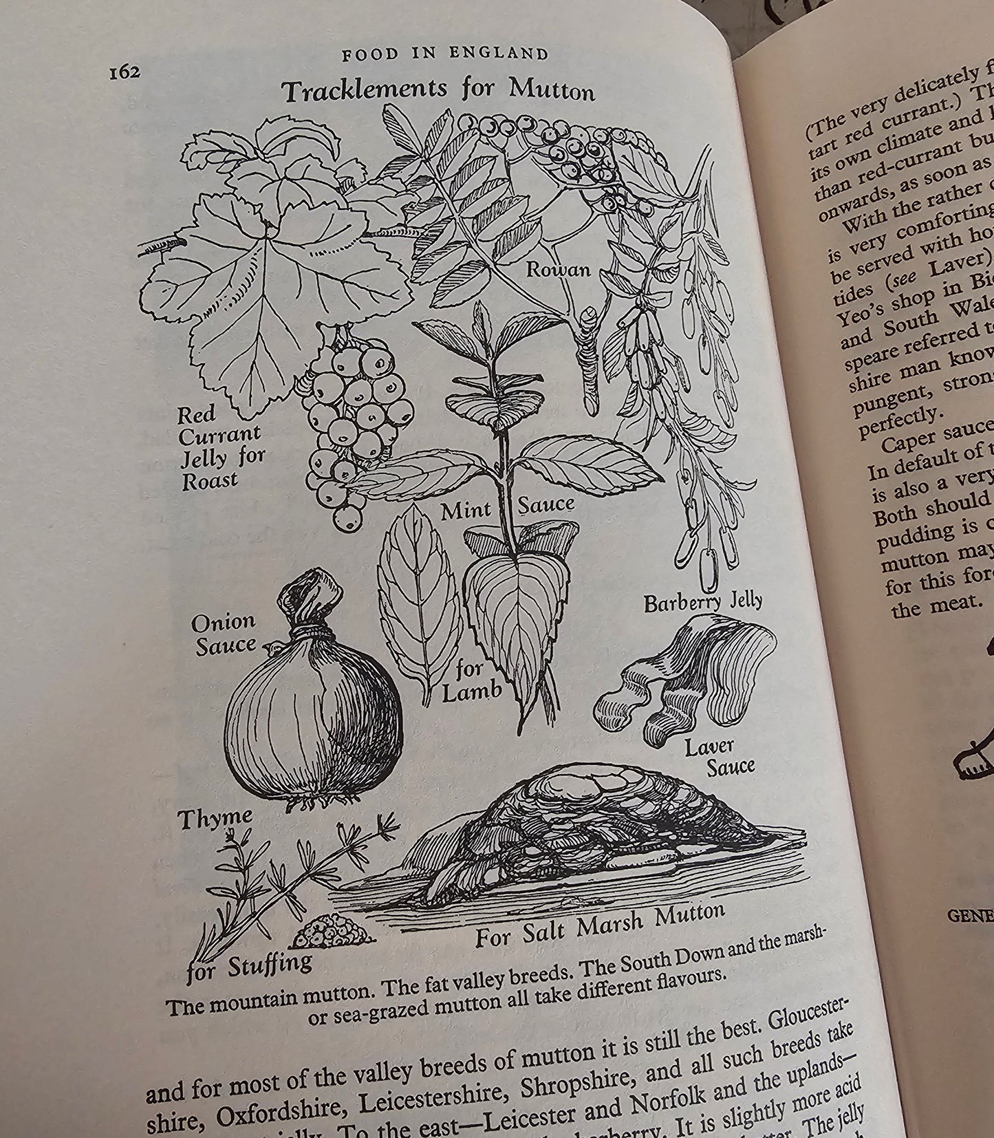 1979 Food in England by Dorothy Hartley / Macdonald, London / Culinary Classic in Very Good Condition / Richly Illustrated Throughout