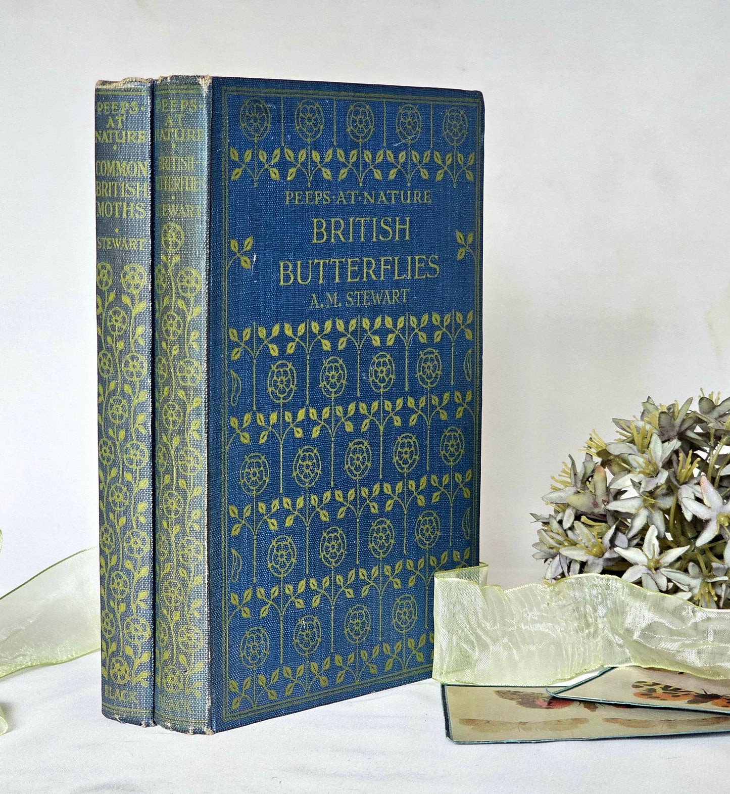 1926 and 1930 Peeps at Nature Butterflies and Moths / A&C Black, London / each Volume Containing 8 Colour + 8 Black  White Illustrations