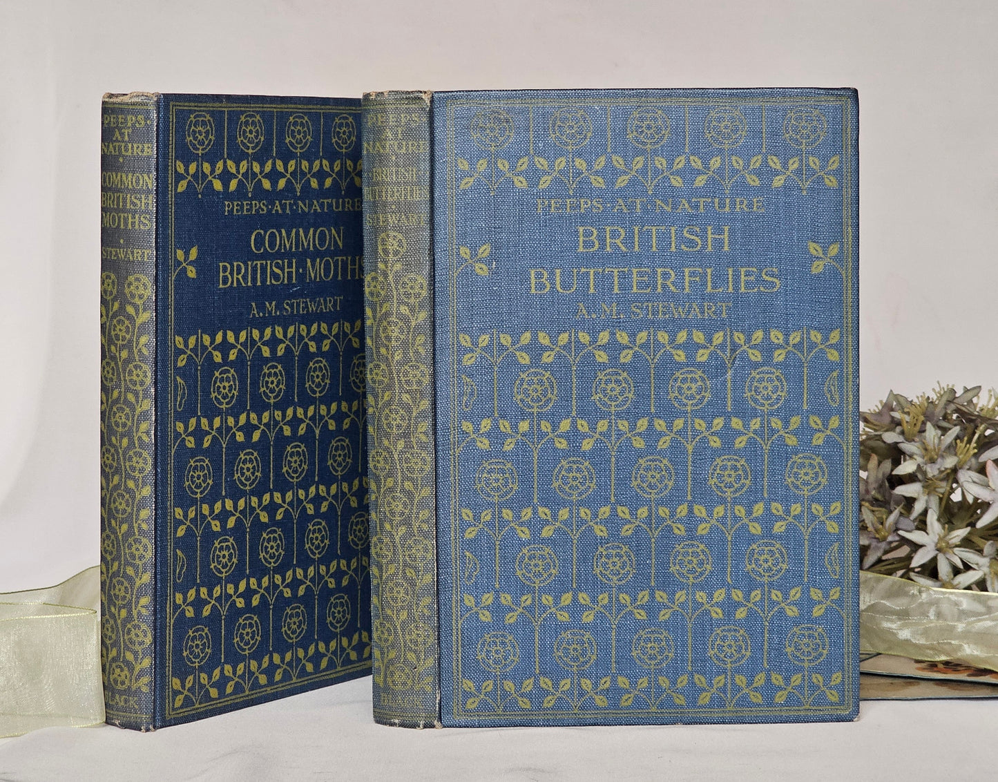 1926 and 1930 Peeps at Nature Butterflies and Moths / A&C Black, London / each Volume Containing 8 Colour + 8 Black  White Illustrations