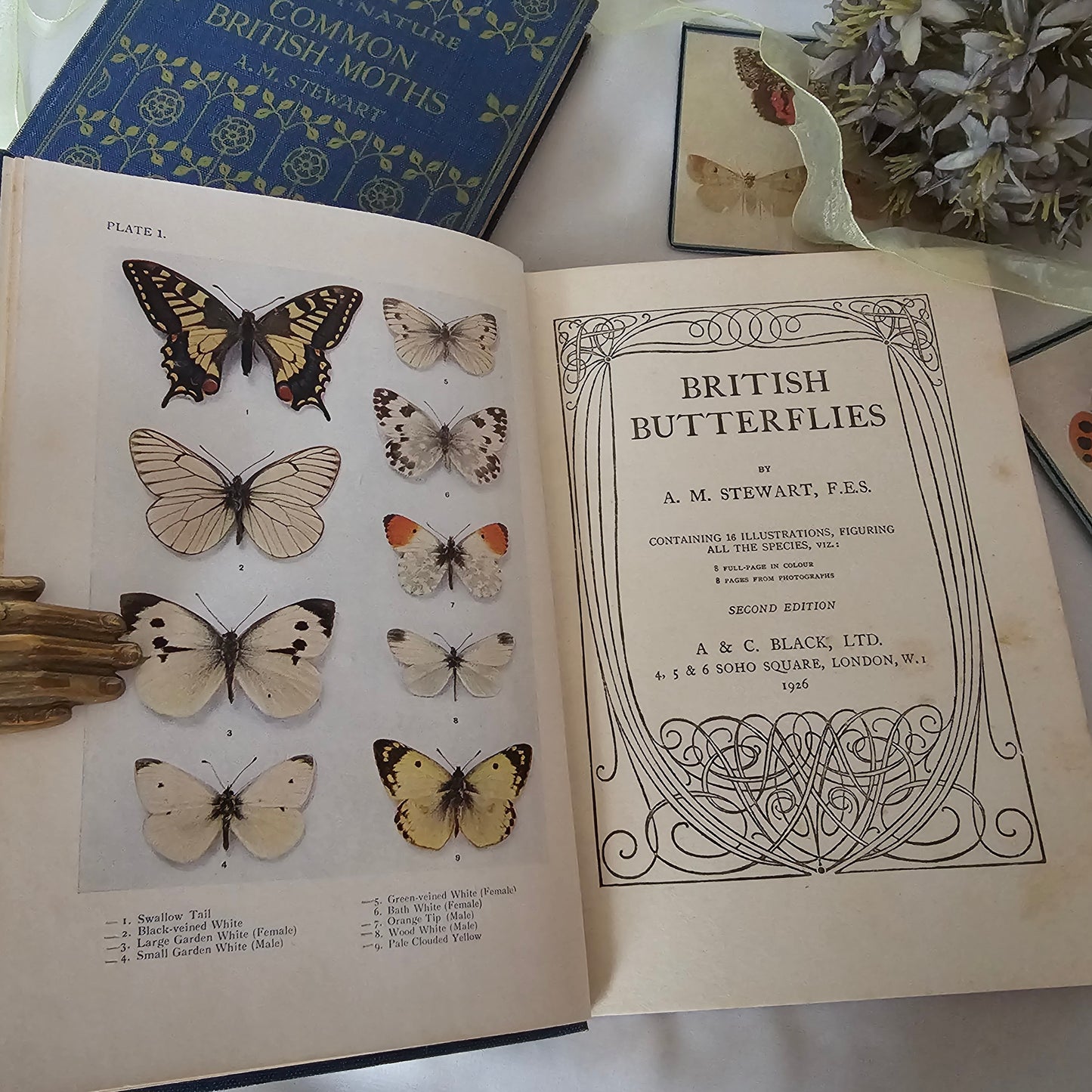 1926 and 1930 Peeps at Nature Butterflies and Moths / A&C Black, London / each Volume Containing 8 Colour + 8 Black  White Illustrations