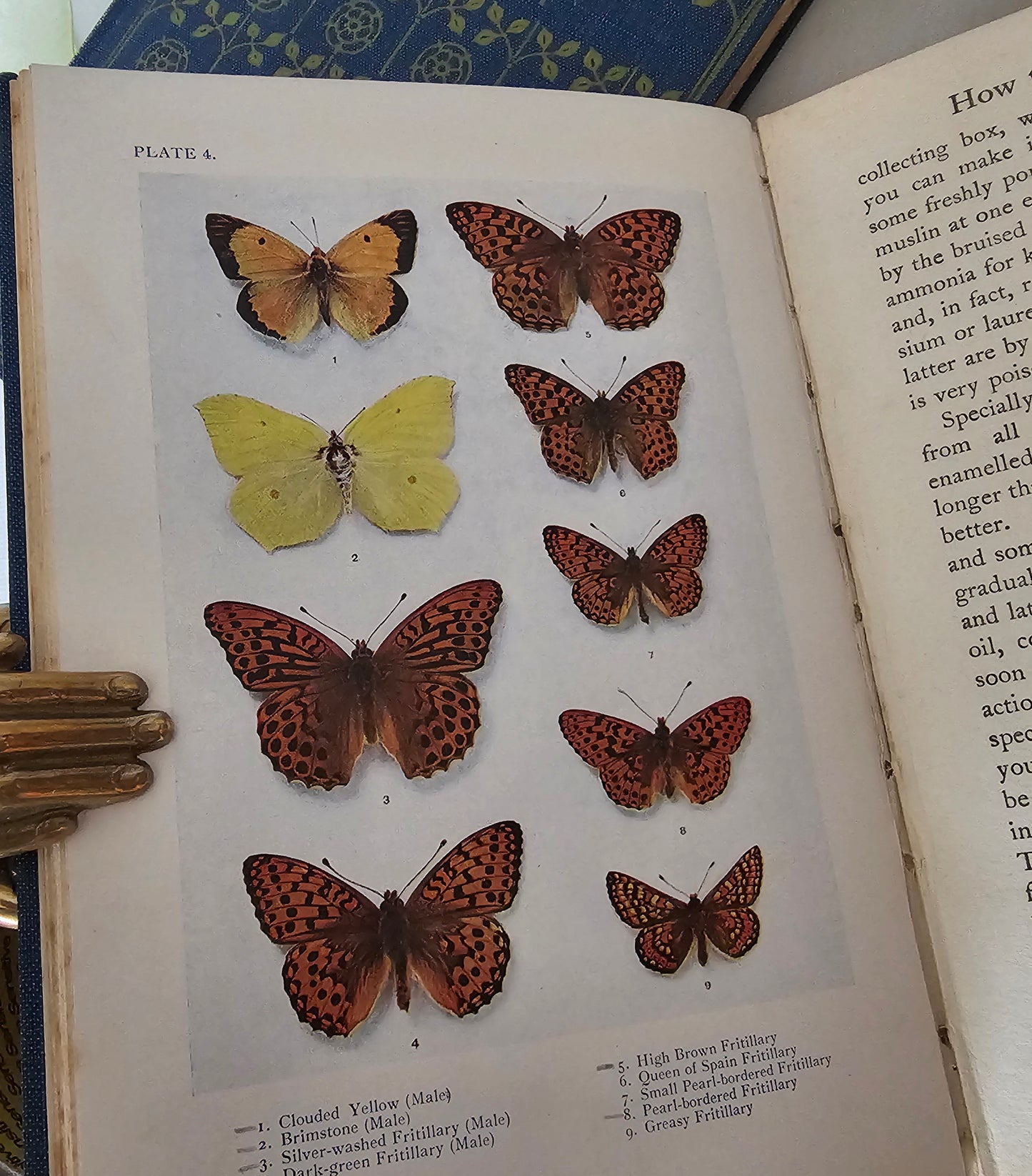 1926 and 1930 Peeps at Nature Butterflies and Moths / A&C Black, London / each Volume Containing 8 Colour + 8 Black  White Illustrations