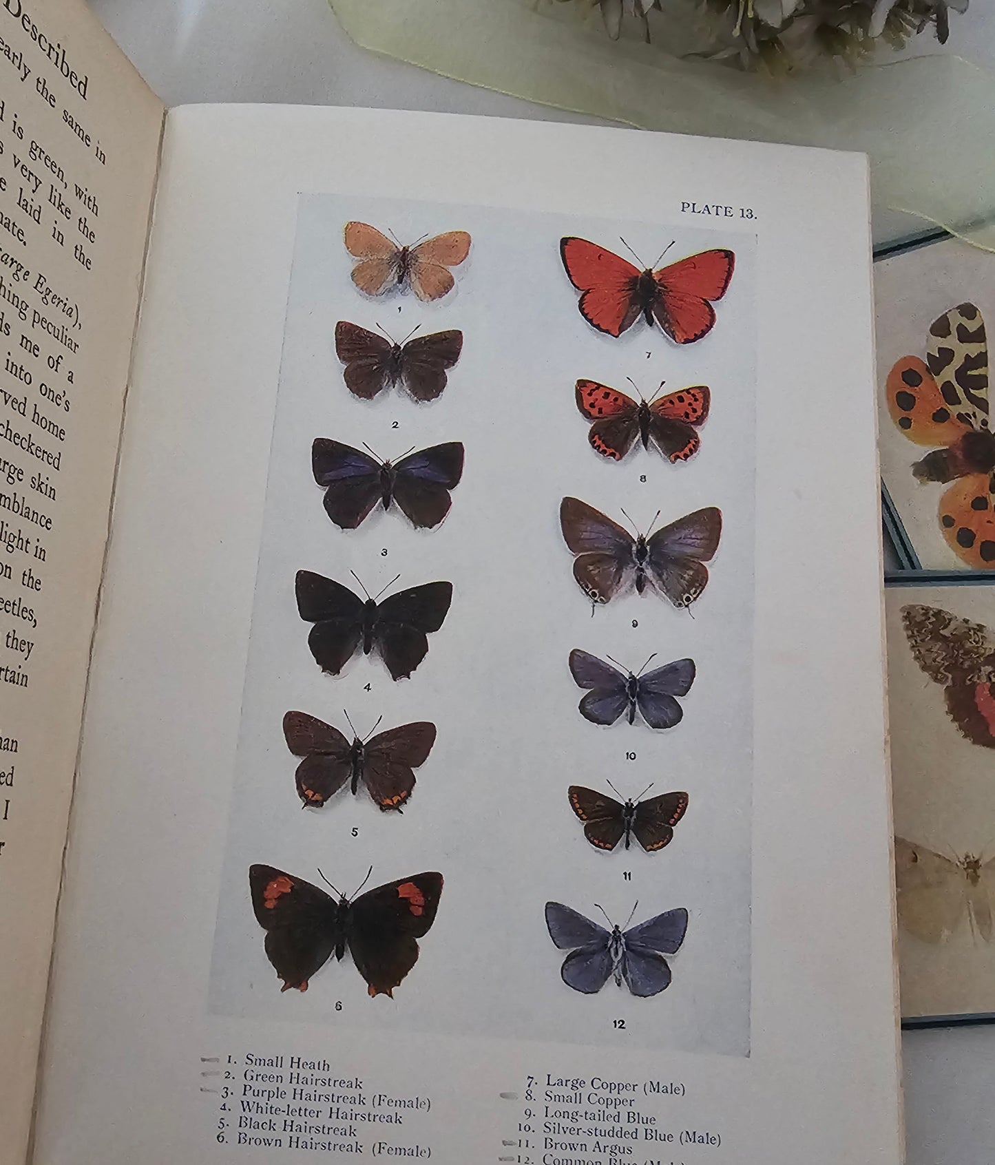 1926 and 1930 Peeps at Nature Butterflies and Moths / A&C Black, London / each Volume Containing 8 Colour + 8 Black  White Illustrations