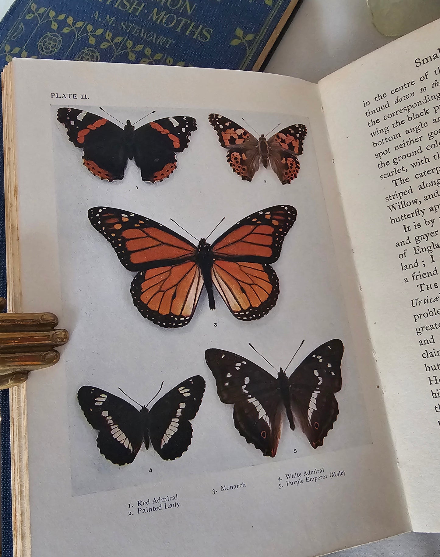 1926 and 1930 Peeps at Nature Butterflies and Moths / A&C Black, London / each Volume Containing 8 Colour + 8 Black  White Illustrations