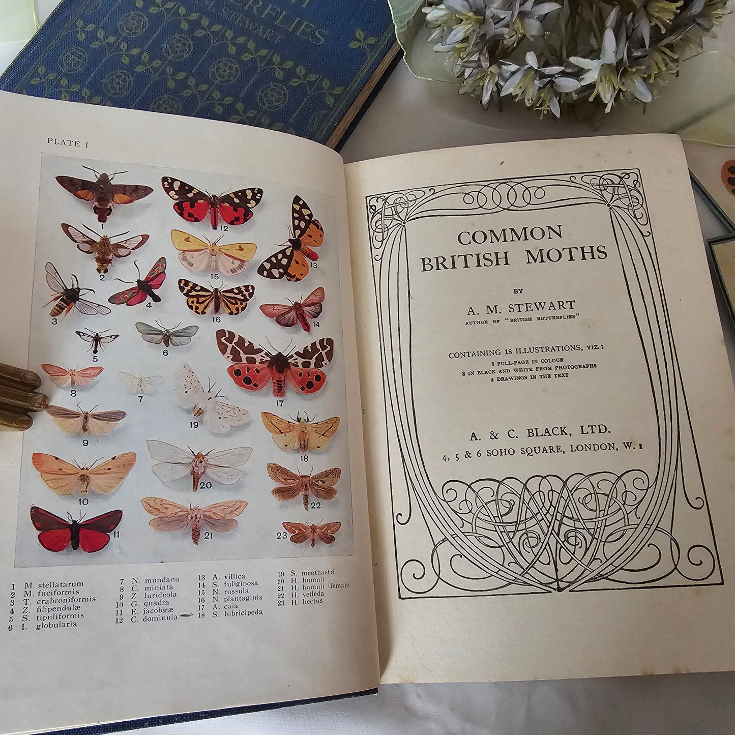 1926 and 1930 Peeps at Nature Butterflies and Moths / A&C Black, London / each Volume Containing 8 Colour + 8 Black  White Illustrations