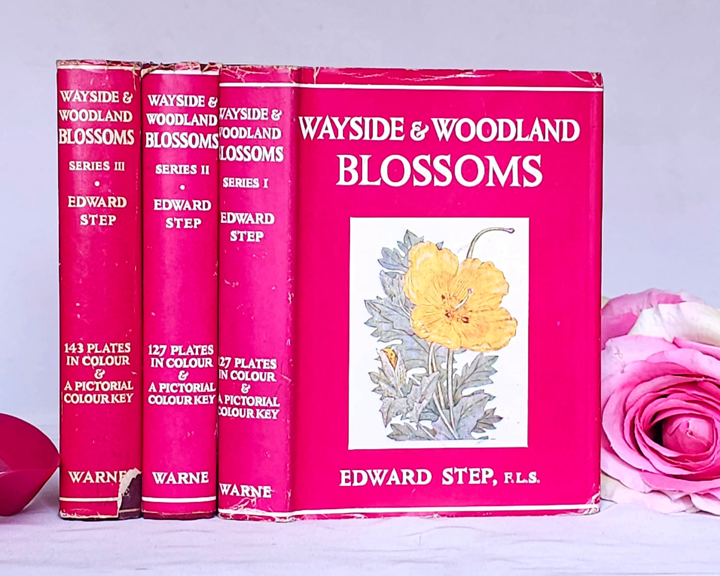 1948 Wayside and Woodland Blossoms A Guide To British Wild Flowers In 3 Volumes / Warne & Co. / In Good Condition / Numerous Colour Plates