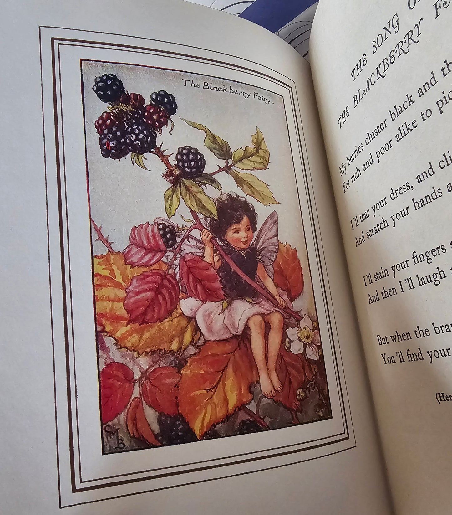 1950 The Book of the Flower Fairies, Poems and Pictures by Cicely Mary Barker / Blackie & Son / Scarce Dust Jacket / In Very Good Condition