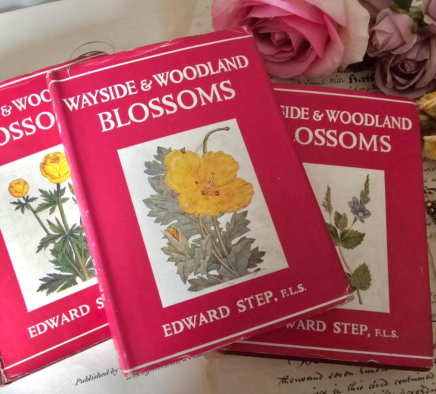 1948 Wayside and Woodland Blossoms A Guide To British Wild Flowers In 3 Volumes / Warne & Co. / In Good Condition / Numerous Colour Plates