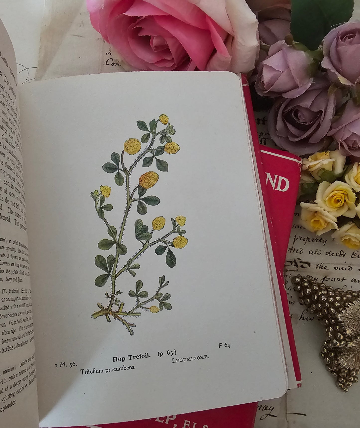 1948 Wayside and Woodland Blossoms A Guide To British Wild Flowers In 3 Volumes / Warne & Co. / In Good Condition / Numerous Colour Plates