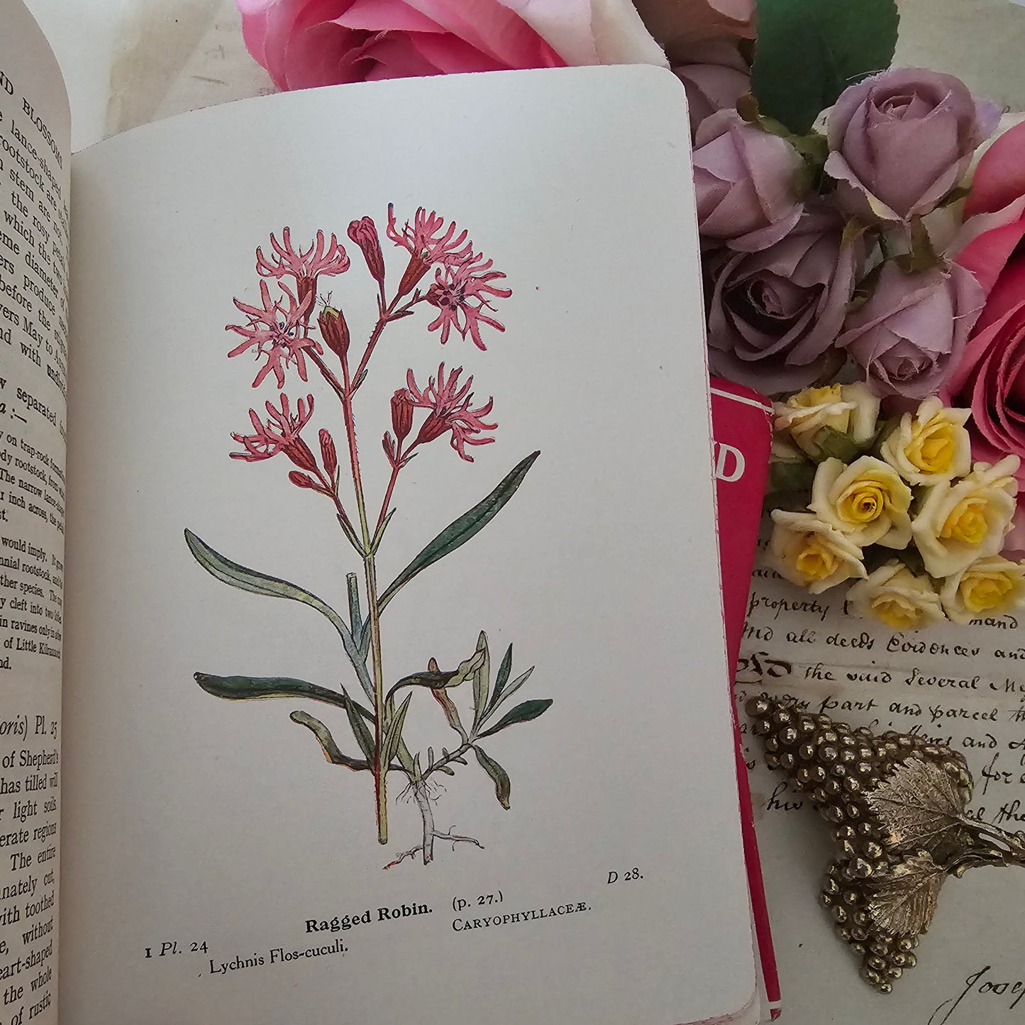 1948 Wayside and Woodland Blossoms A Guide To British Wild Flowers In 3 Volumes / Warne & Co. / In Good Condition / Numerous Colour Plates