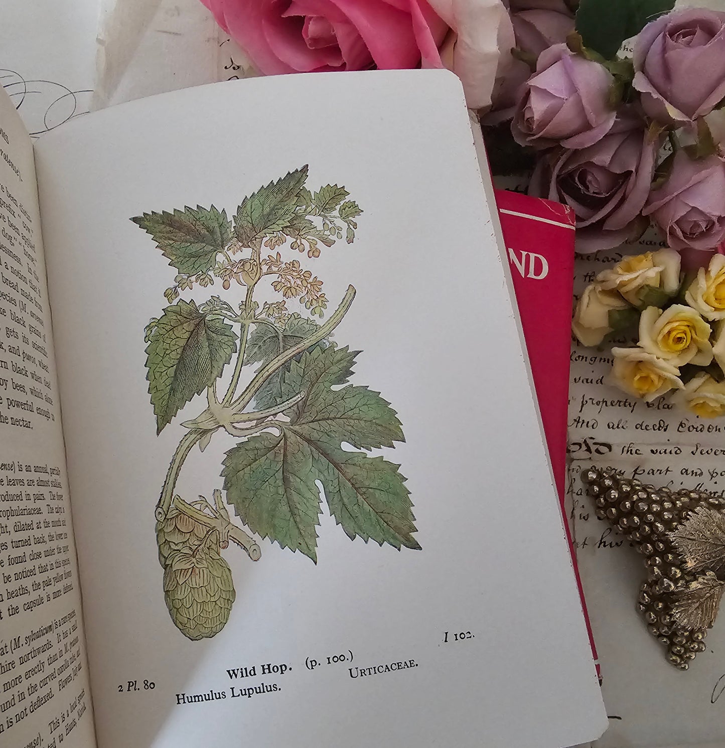 1948 Wayside and Woodland Blossoms A Guide To British Wild Flowers In 3 Volumes / Warne & Co. / In Good Condition / Numerous Colour Plates