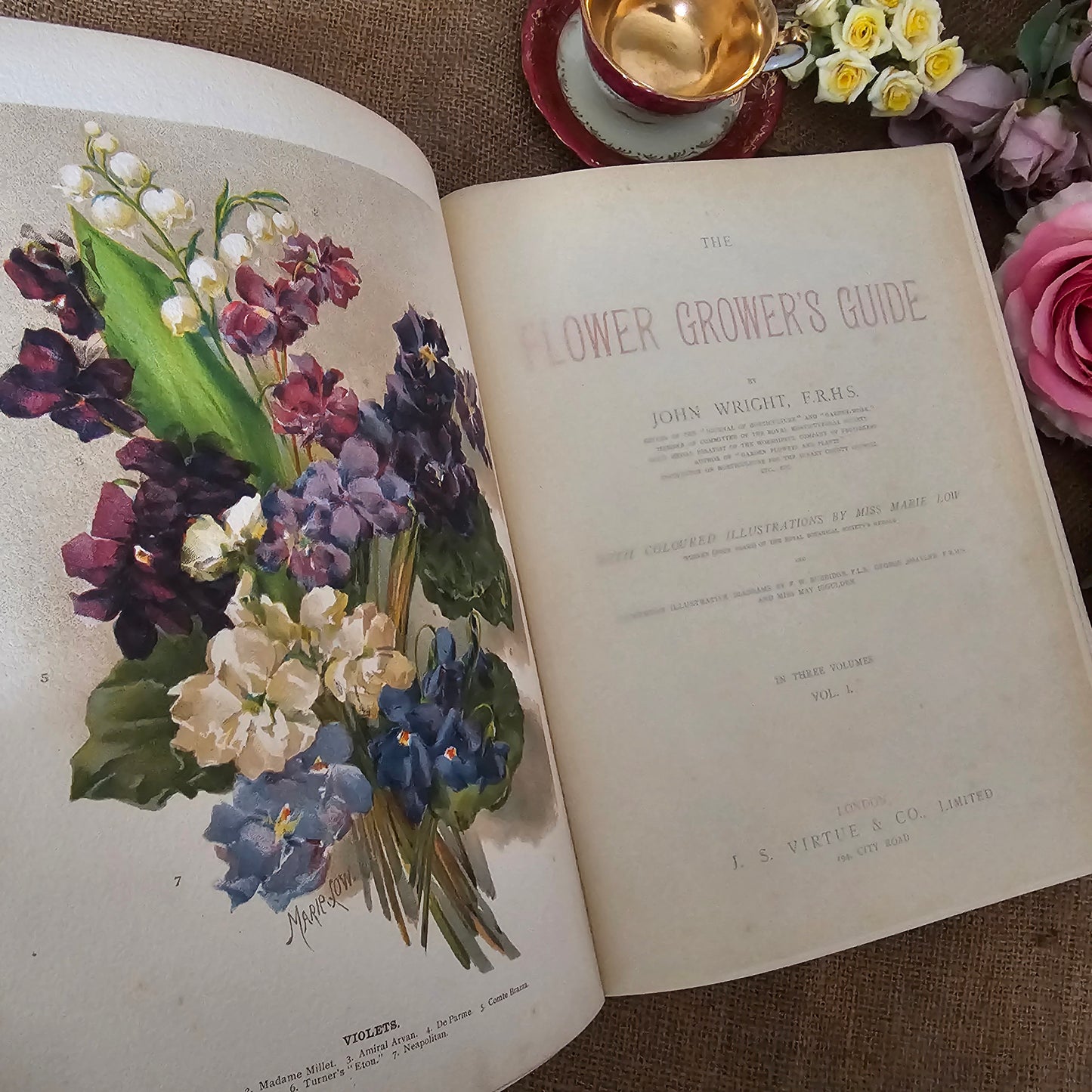 1897 The Flower Grower's Guide by John Wright / Virtue & Co., London / Profusely Illustrated With Many Colour Plates and Diagrams