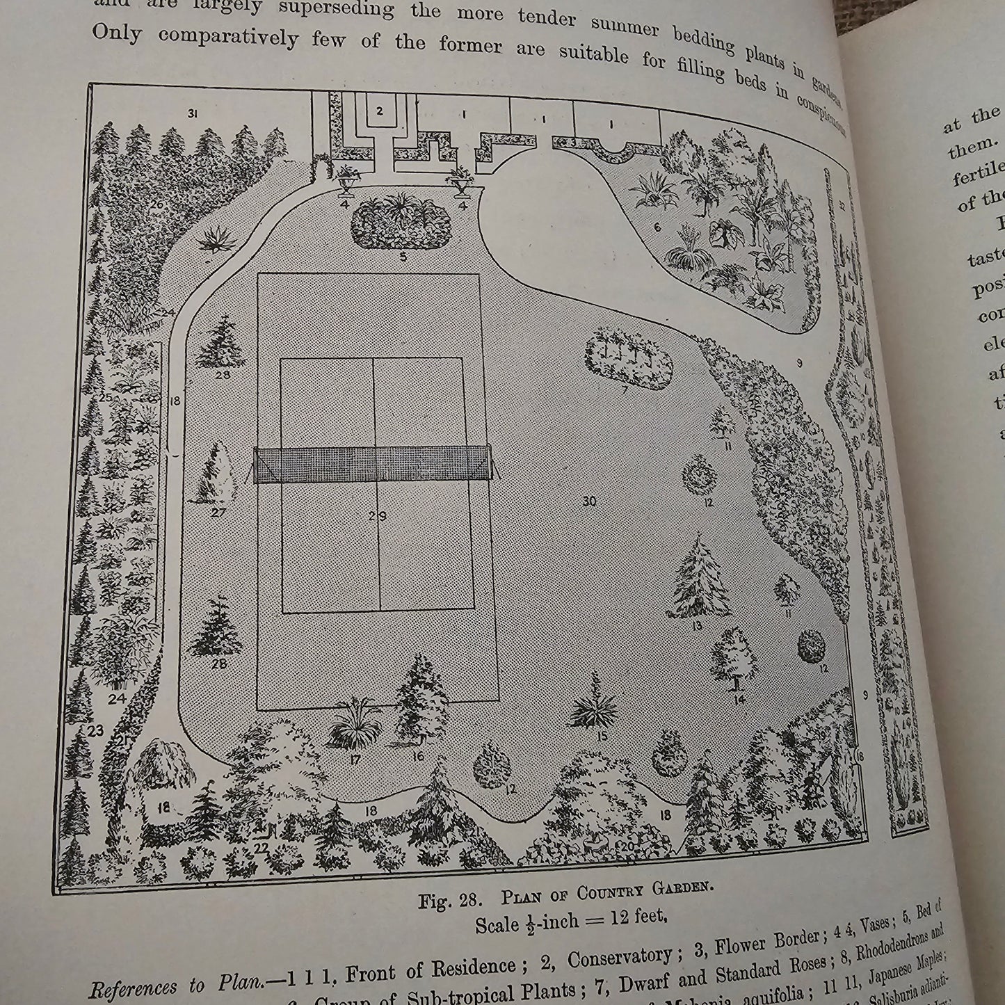 1897 The Flower Grower's Guide by John Wright / Virtue & Co., London / Profusely Illustrated With Many Colour Plates and Diagrams