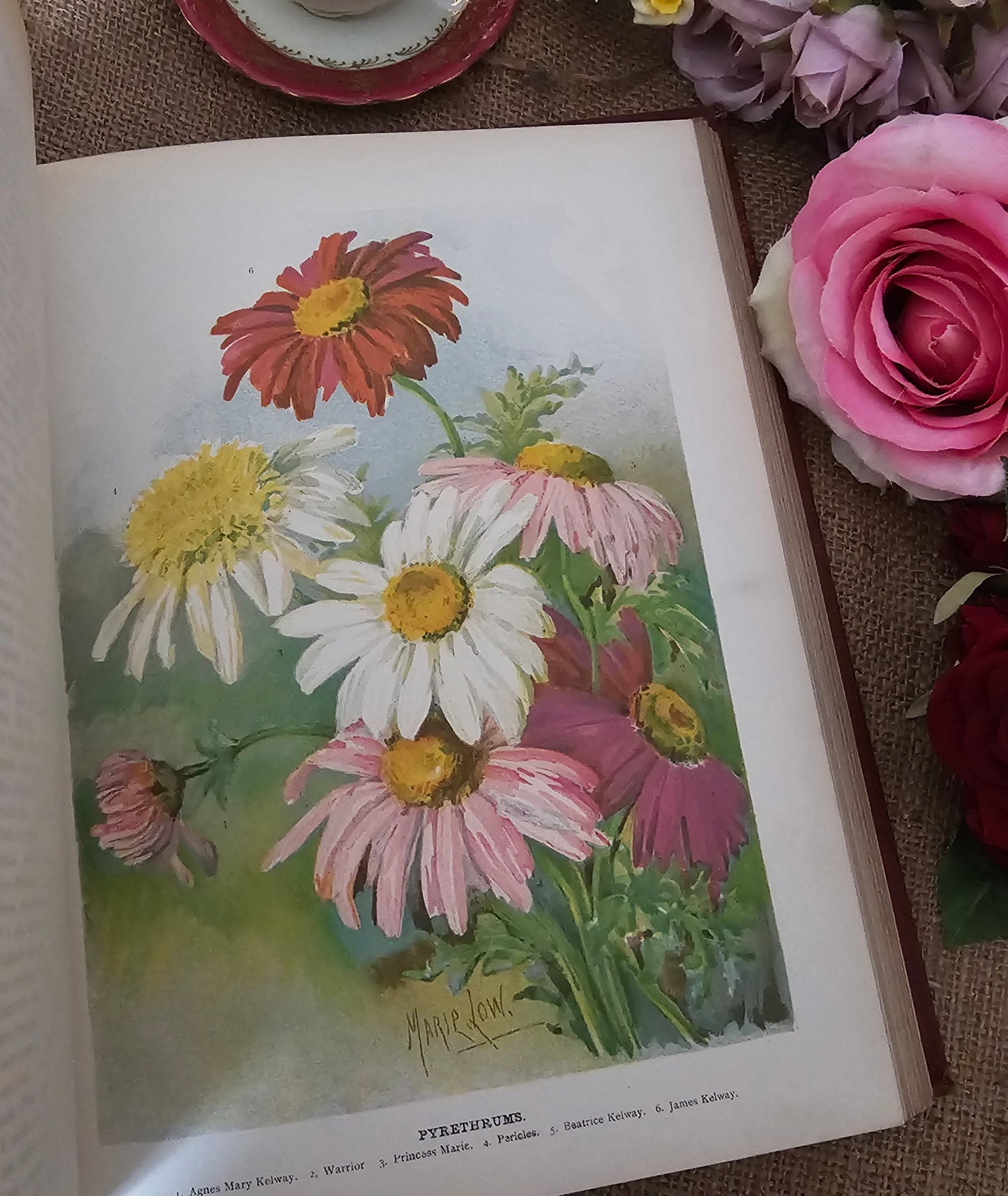 1897 The Flower Grower's Guide by John Wright / Virtue & Co., London / Profusely Illustrated With Many Colour Plates and Diagrams