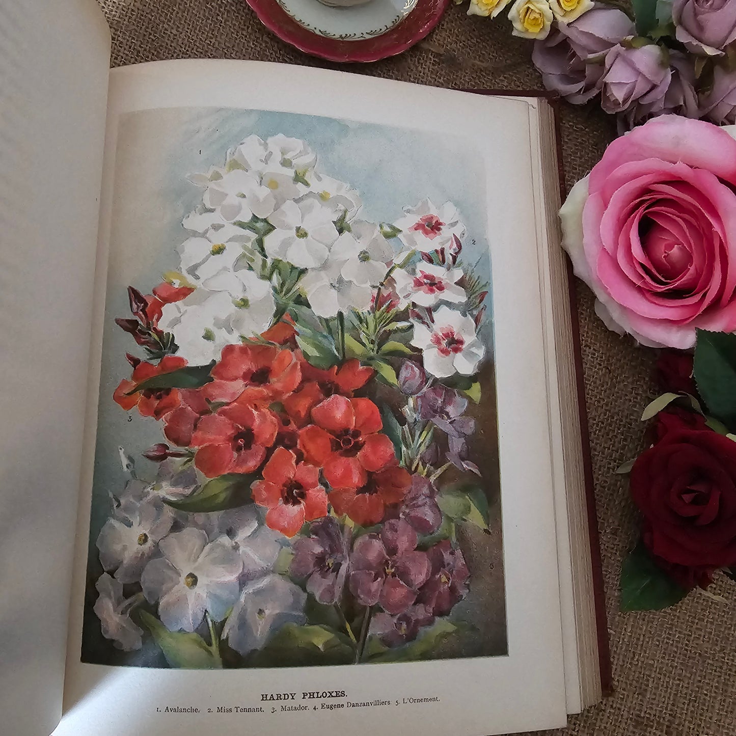 1897 The Flower Grower's Guide by John Wright / Virtue & Co., London / Profusely Illustrated With Many Colour Plates and Diagrams