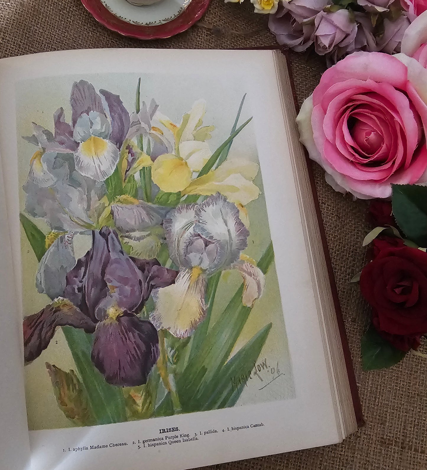 1897 The Flower Grower's Guide by John Wright / Virtue & Co., London / Profusely Illustrated With Many Colour Plates and Diagrams