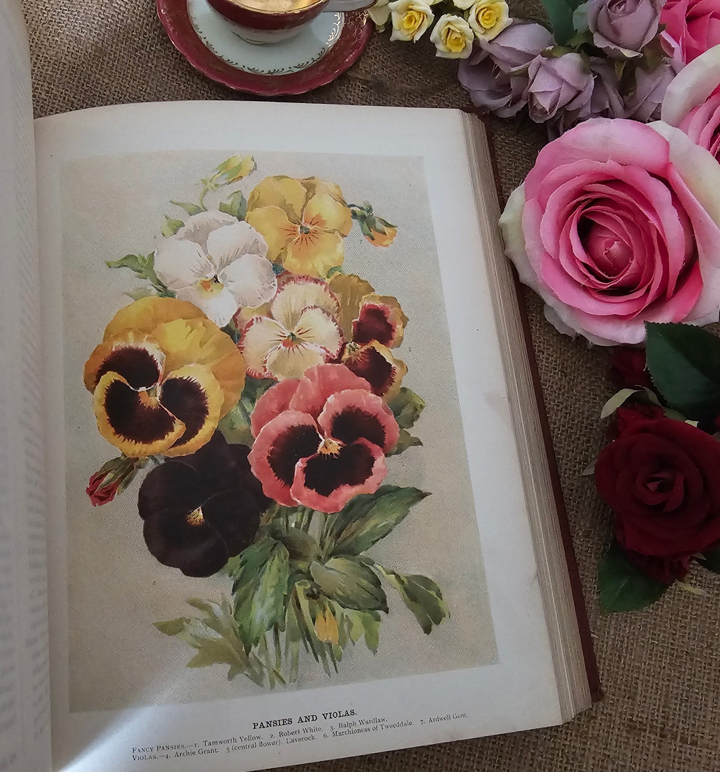 1897 The Flower Grower's Guide by John Wright / Virtue & Co., London / Profusely Illustrated With Many Colour Plates and Diagrams