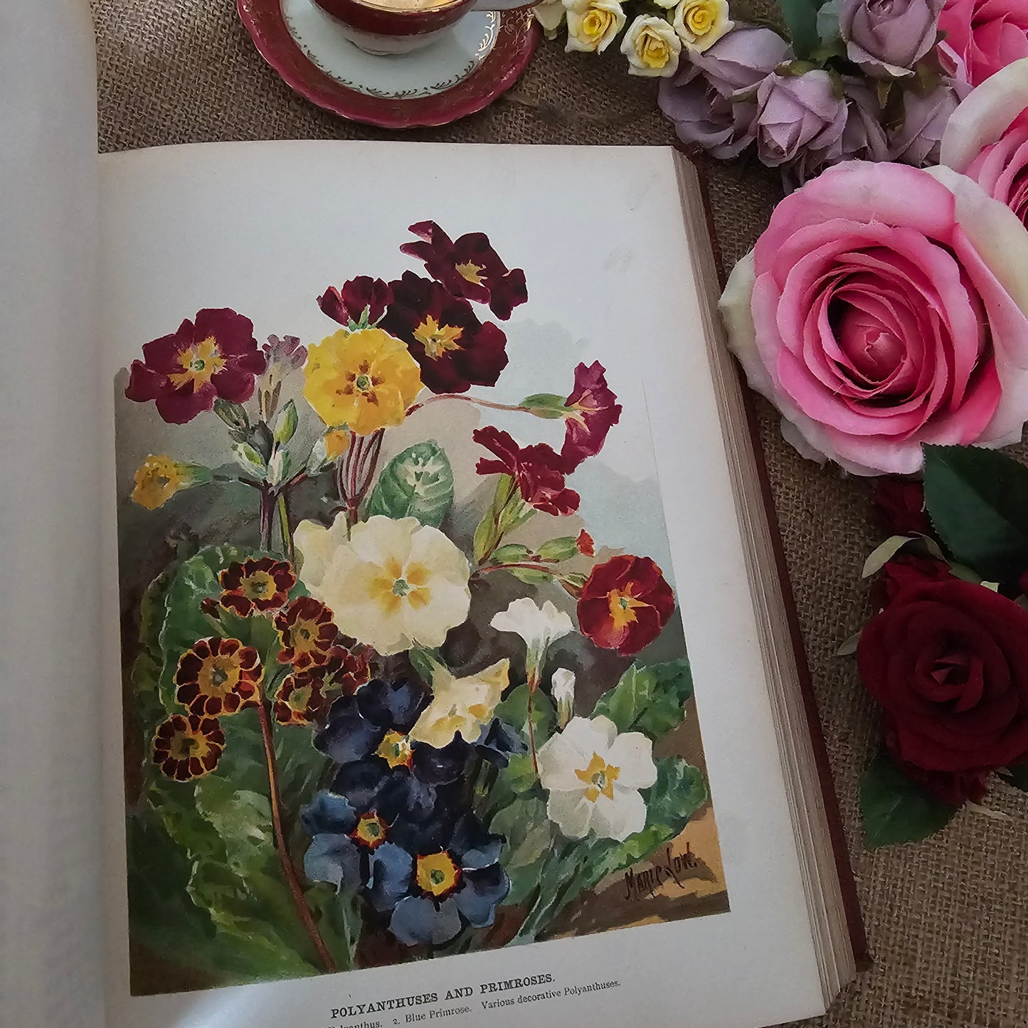 1897 The Flower Grower's Guide by John Wright / Virtue & Co., London / Profusely Illustrated With Many Colour Plates and Diagrams