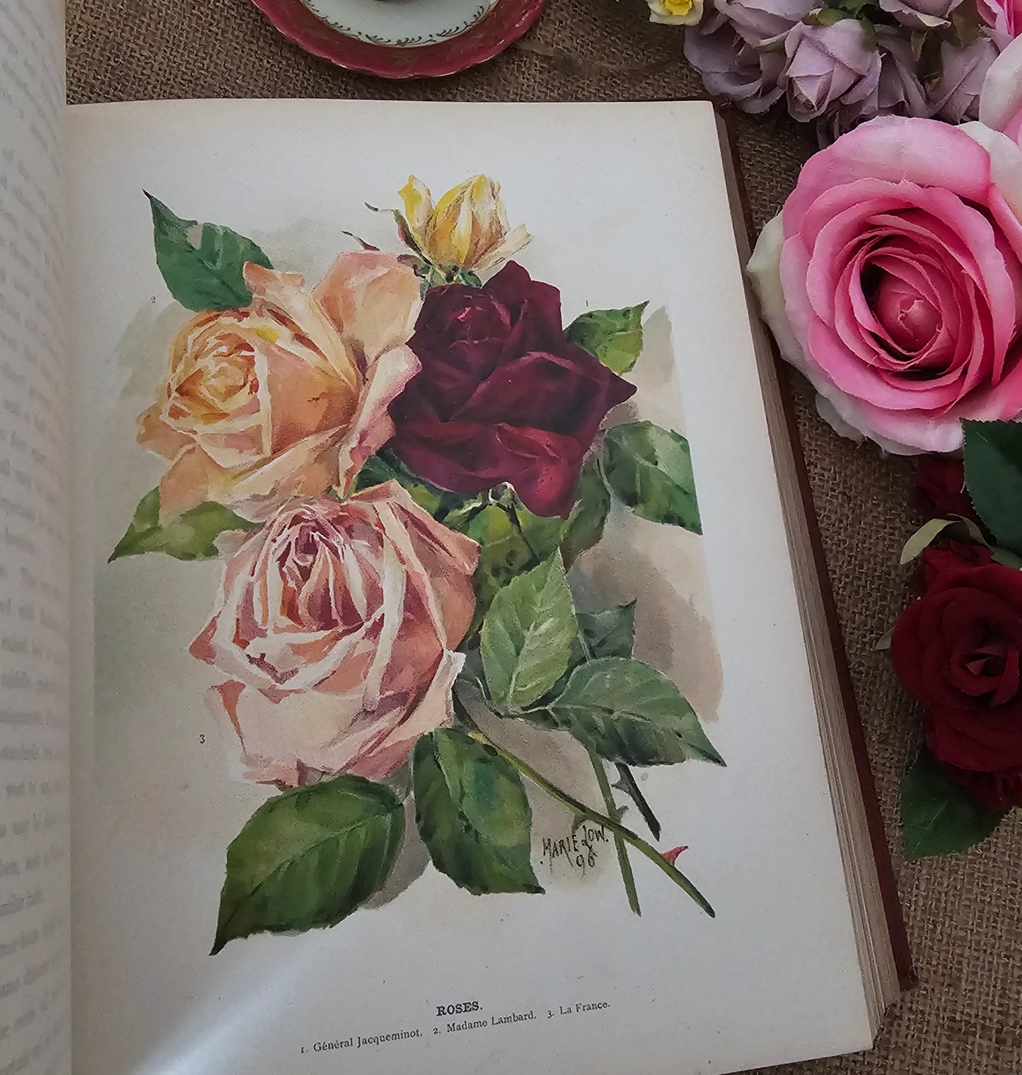 1897 The Flower Grower's Guide by John Wright / Virtue & Co., London / Profusely Illustrated With Many Colour Plates and Diagrams