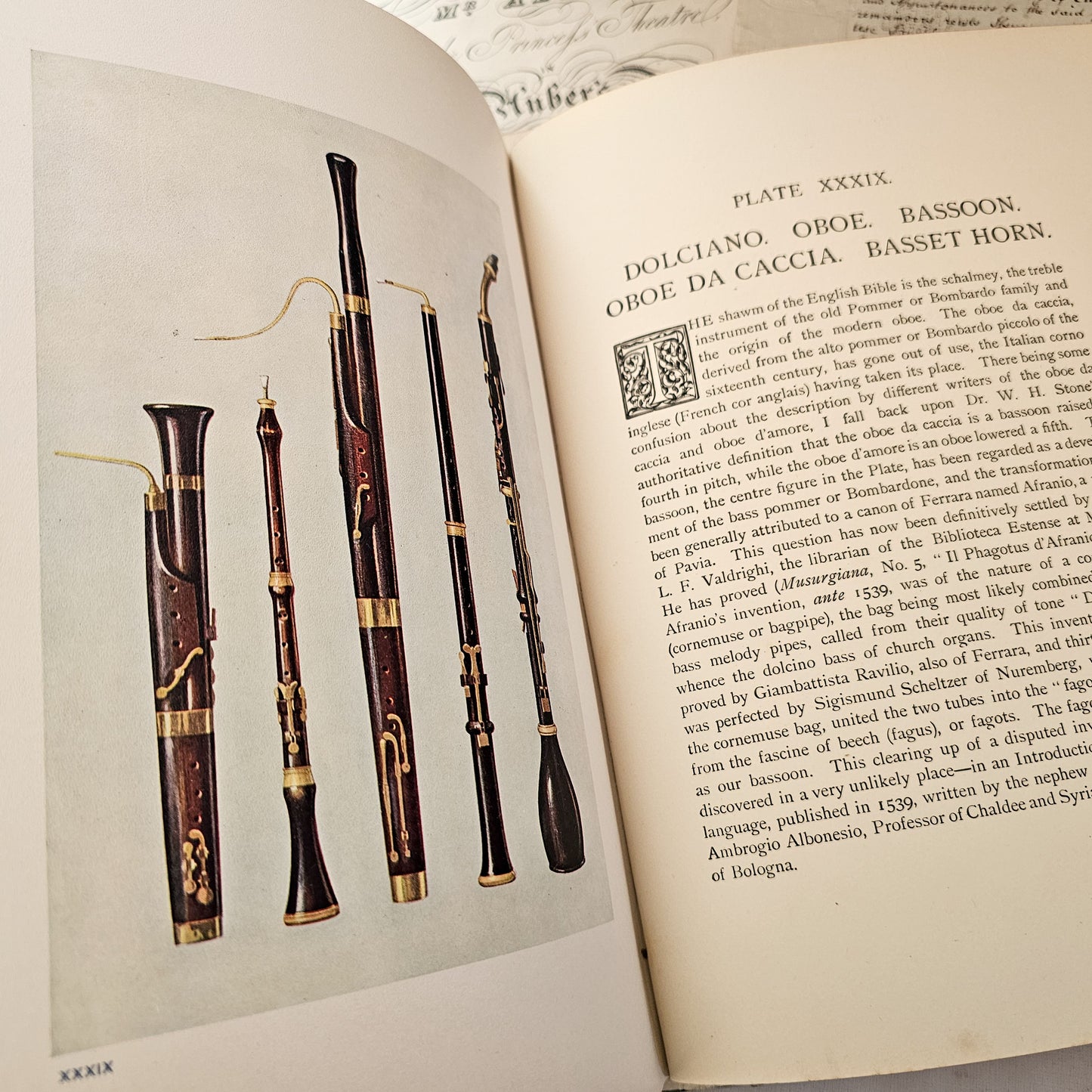 1921 Musical Instruments - Historic, Rare and Unique by AJ Hipkins / A&C Black, London / 48 Beautiful Colour Plates / Large Antique Hardback