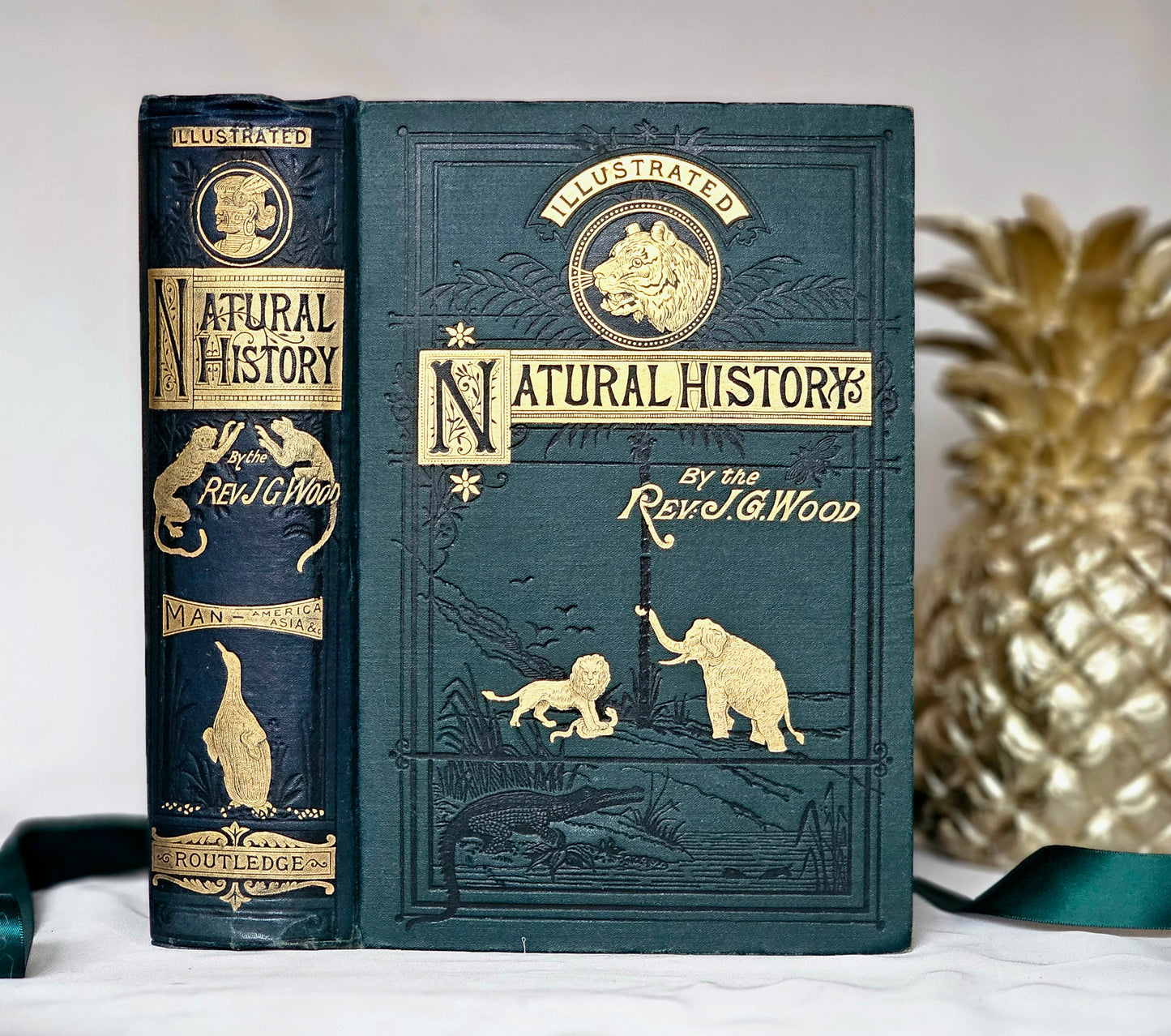 1880 The Natural History of Man by Rev JG Wood / Australia, New Zealand, Polynesia, America, Asia and Ancient Europe / Very Good Condition