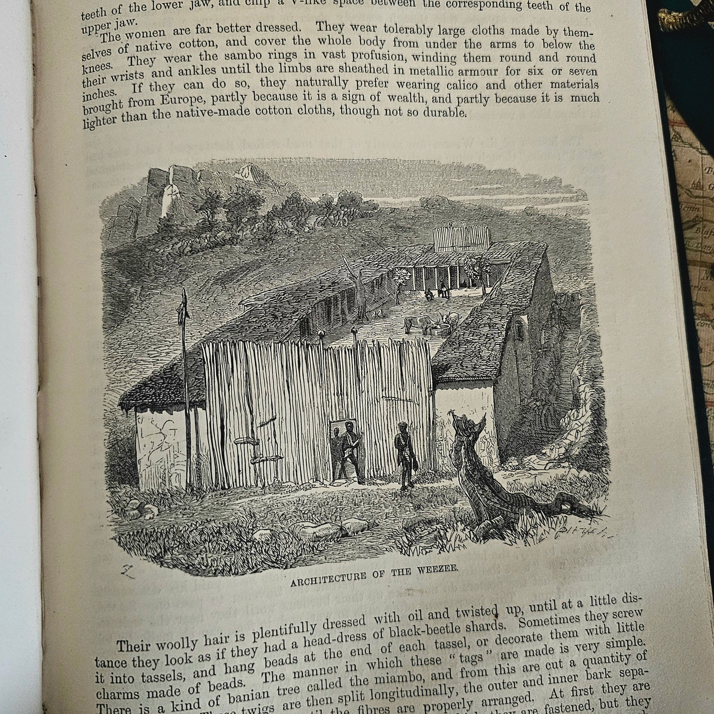 1874 The Natural History of Man by Rev JG Wood / G Routledge & Sons, London / Africa / In Very Good Condition / Richly Illustrated