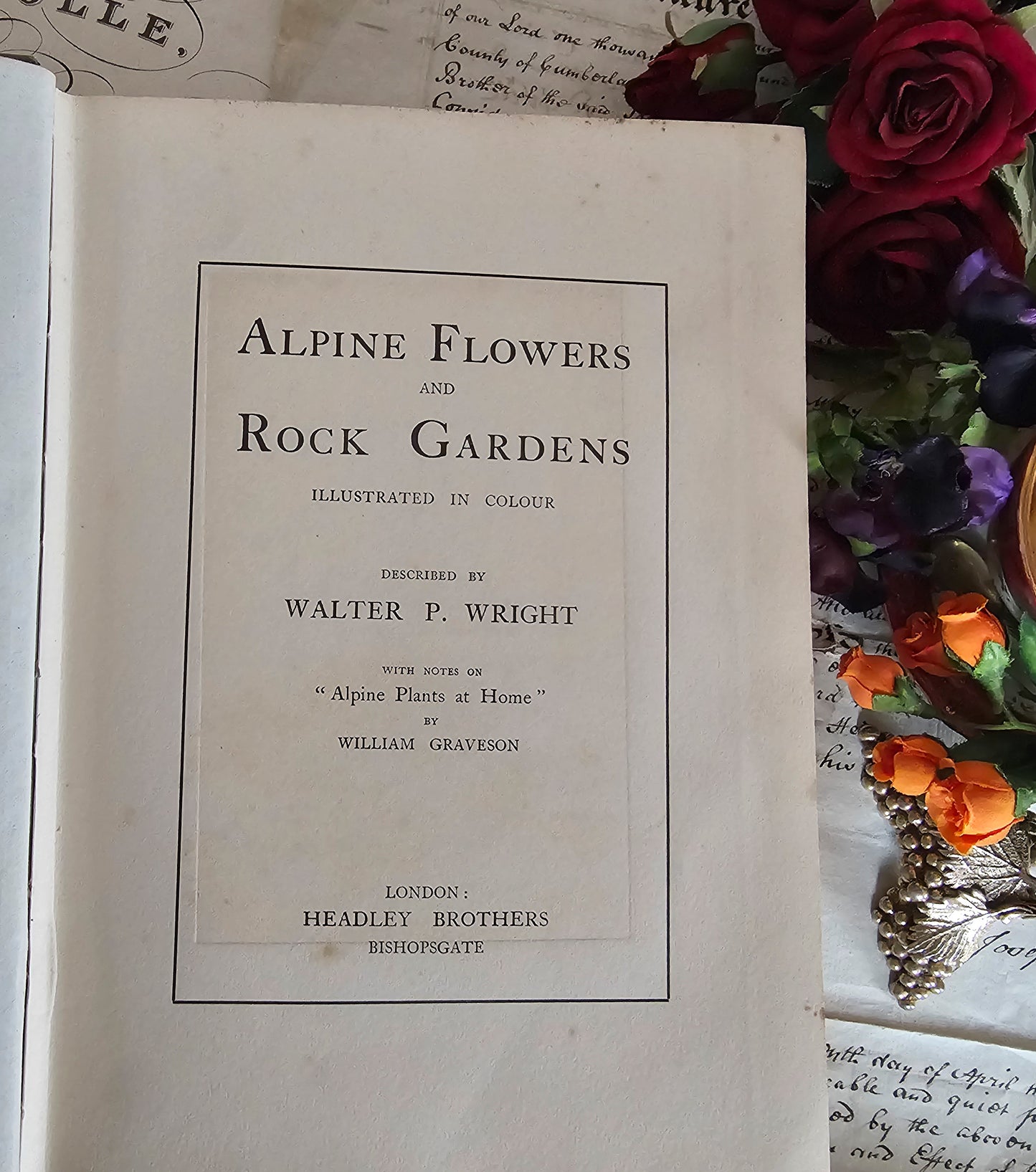 1911 Alpine Flowers and Rock Gardens Illustrated in Colour by Walter Wright / Headley Brothers, London / 36 Colour Plates, 15 in Monochrome