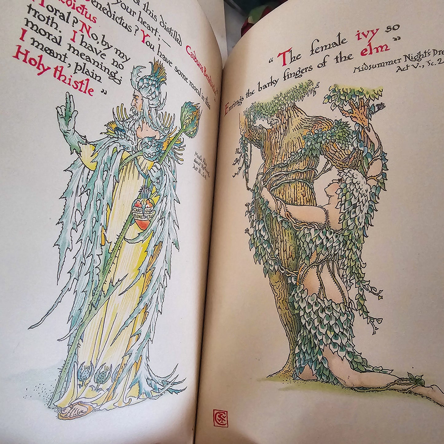 1906 Flowers From Shakespeare's Garden - A Posy From The Plays Pictured by Walter Crane / Beautiful Illustrated Antique Book