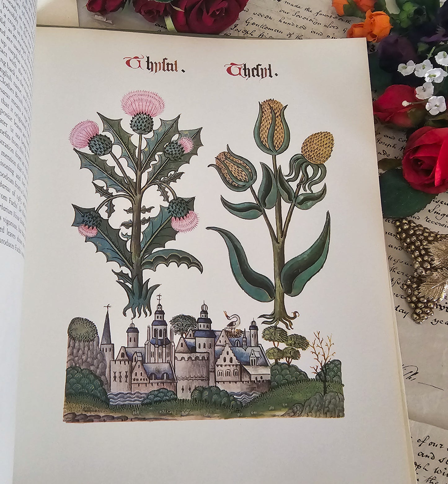 1972 Flowers and Trees of Tudor England by Clare Putnam / Large Format 32 Beautiful Reproduced Illustrations From of 1504 Ashmole Original