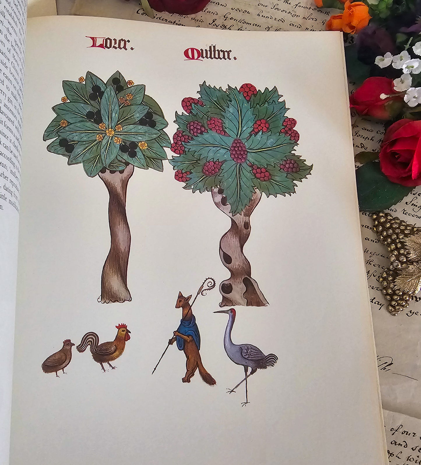 1972 Flowers and Trees of Tudor England by Clare Putnam / Large Format 32 Beautiful Reproduced Illustrations From of 1504 Ashmole Original