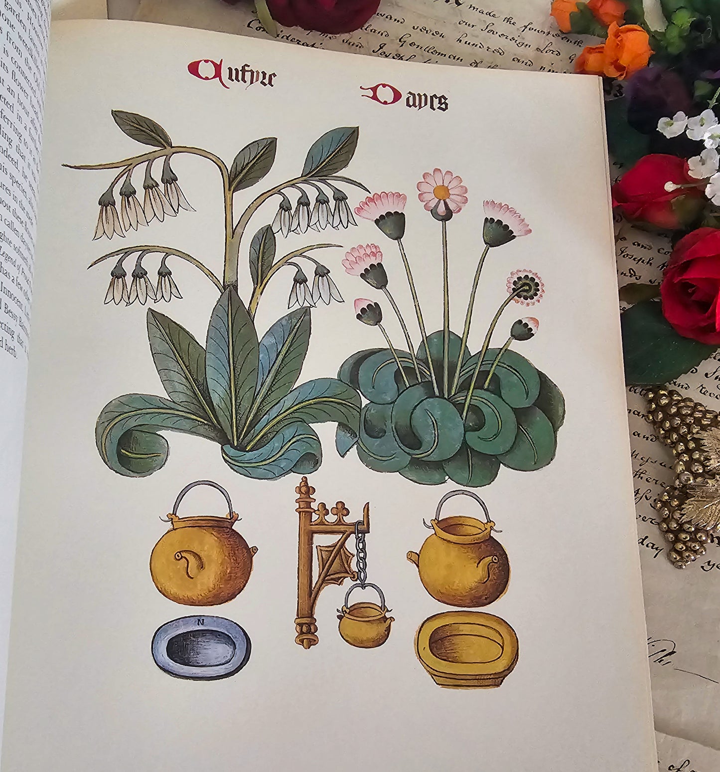 1972 Flowers and Trees of Tudor England by Clare Putnam / Large Format 32 Beautiful Reproduced Illustrations From of 1504 Ashmole Original