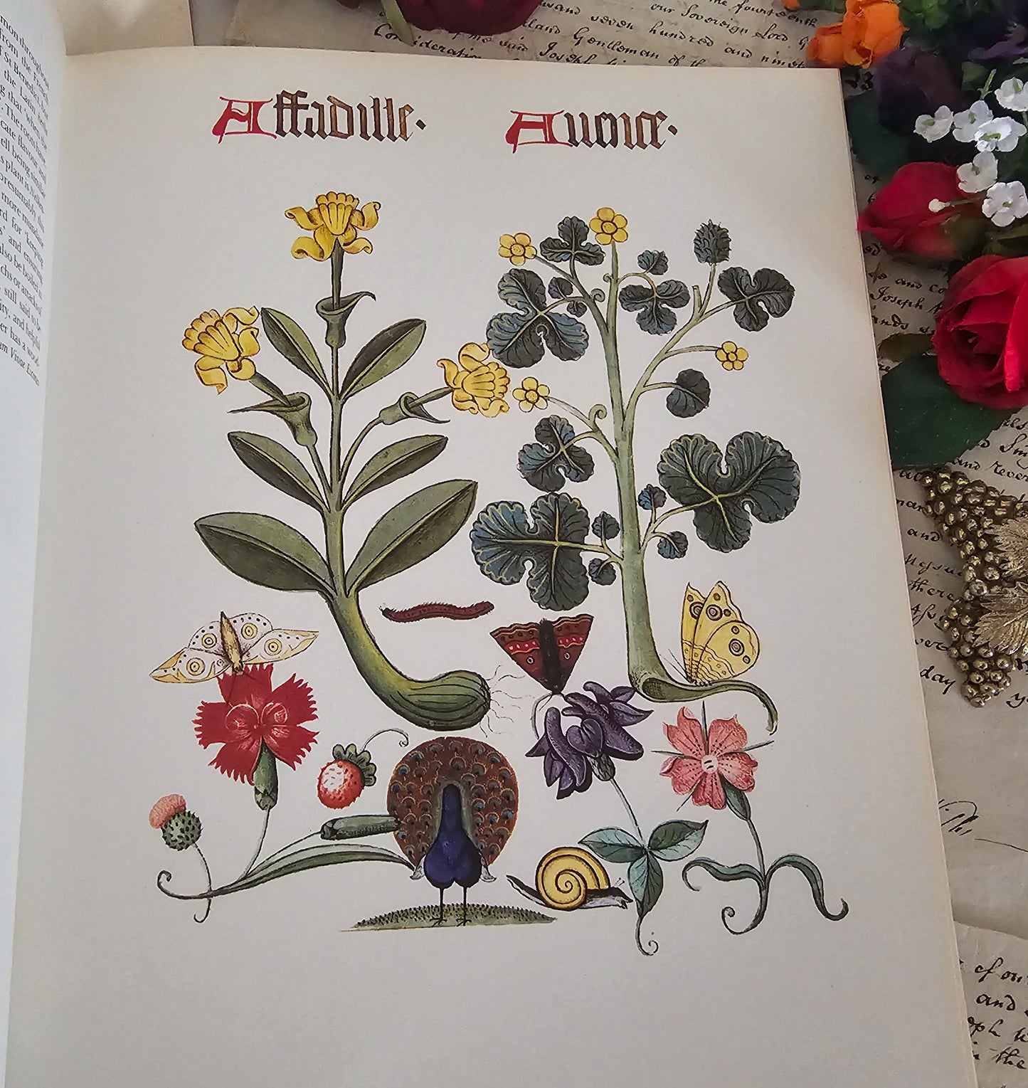 1972 Flowers and Trees of Tudor England by Clare Putnam / Large Format 32 Beautiful Reproduced Illustrations From of 1504 Ashmole Original